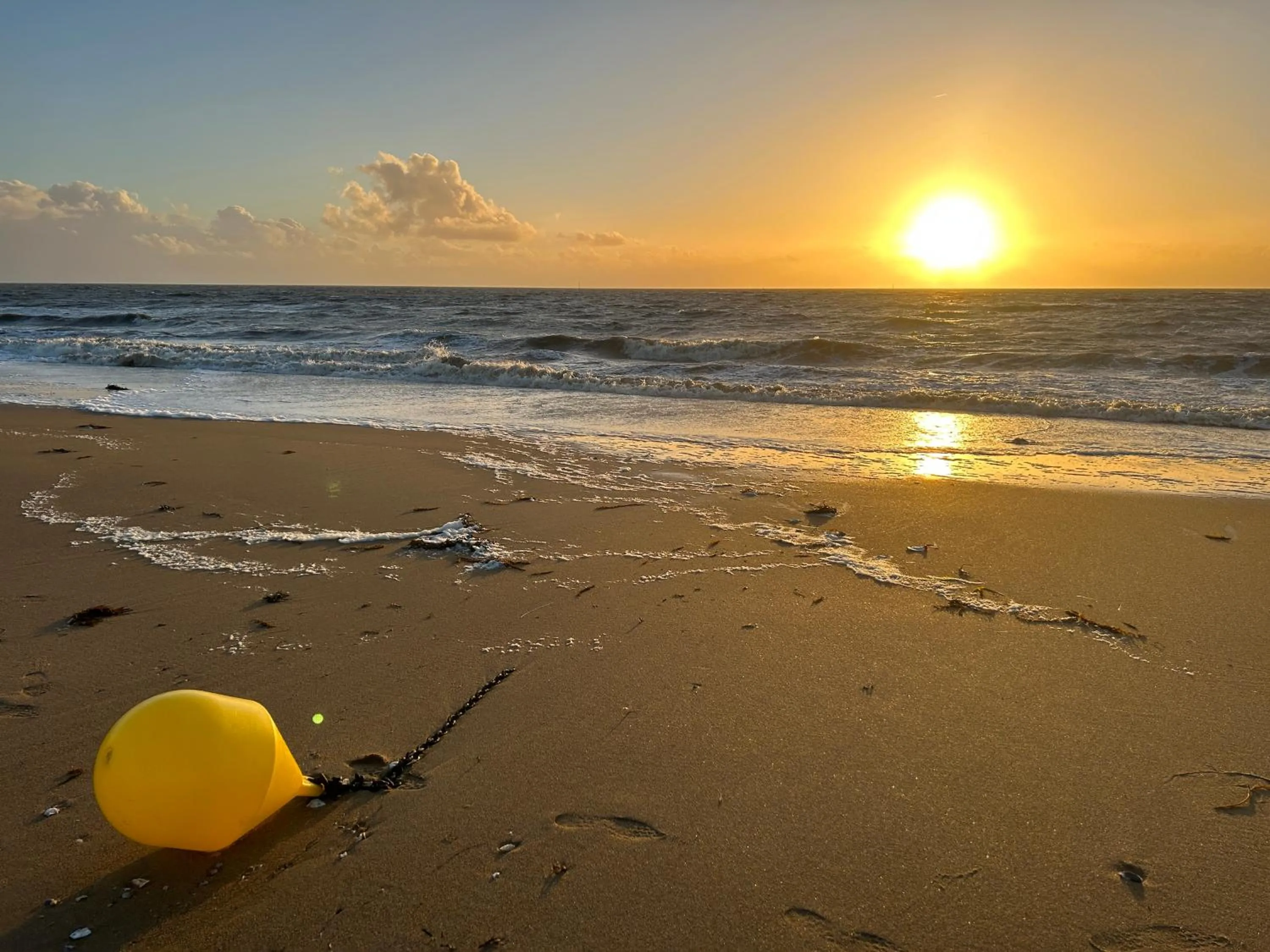 Beach in Hôtel de charme & SPA Le Grand Large