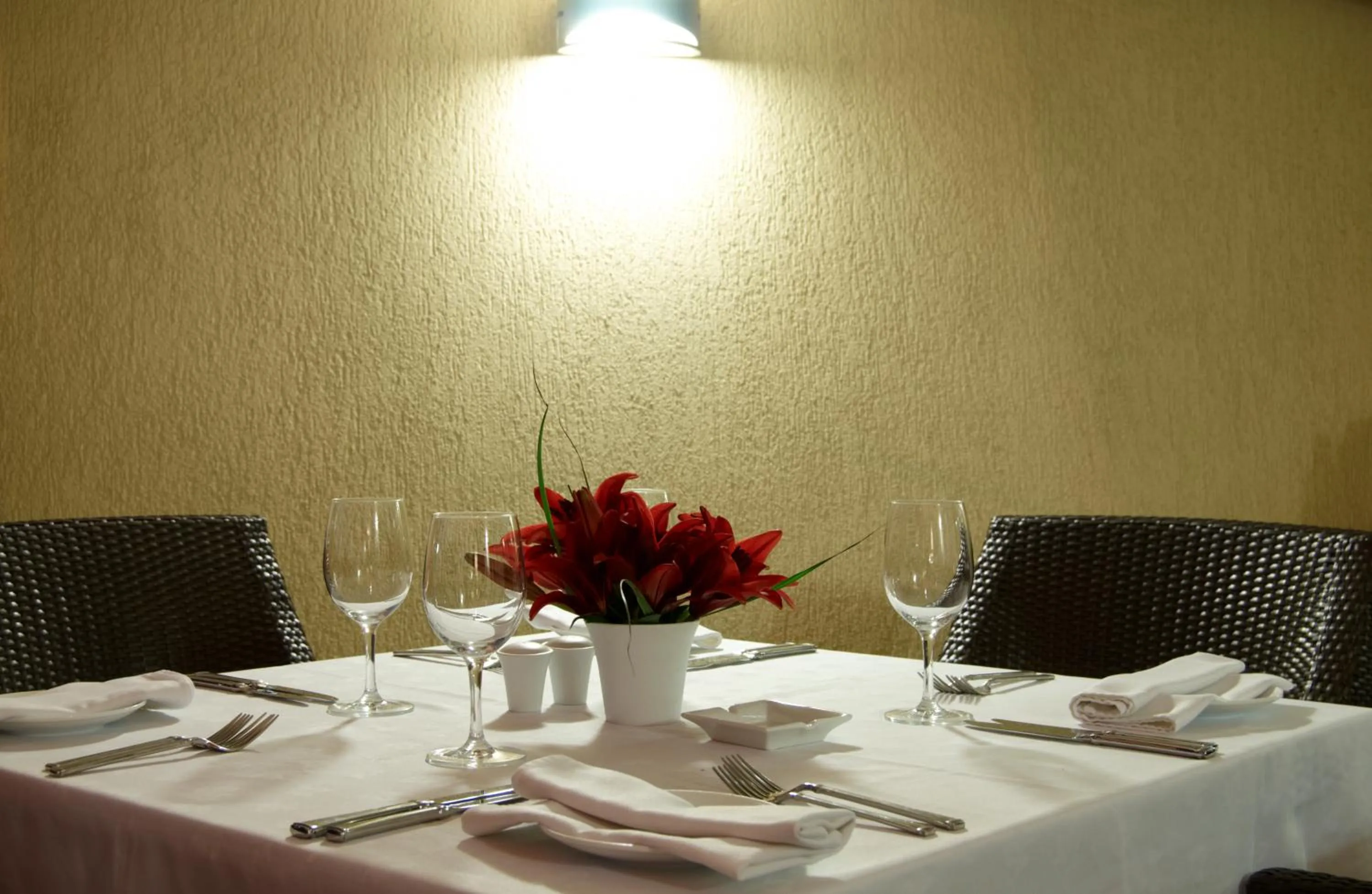 Garden in Casa Boyana Boutique Hotel