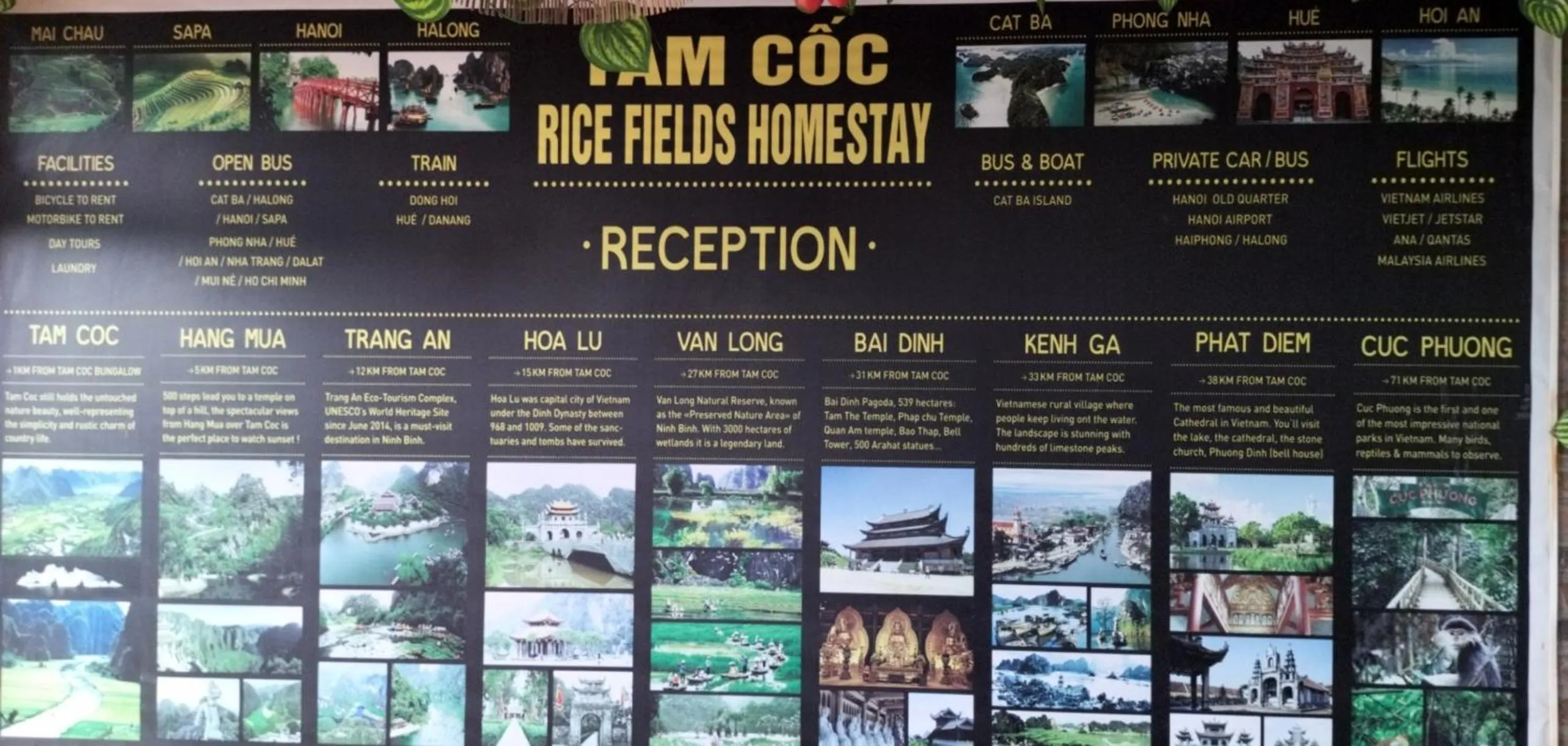 Restaurant/places to eat in Tam Coc Rice Fields Homestay