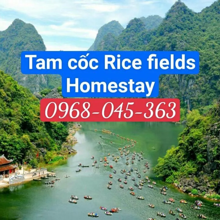 Natural landscape in Tam Coc Rice Fields Homestay