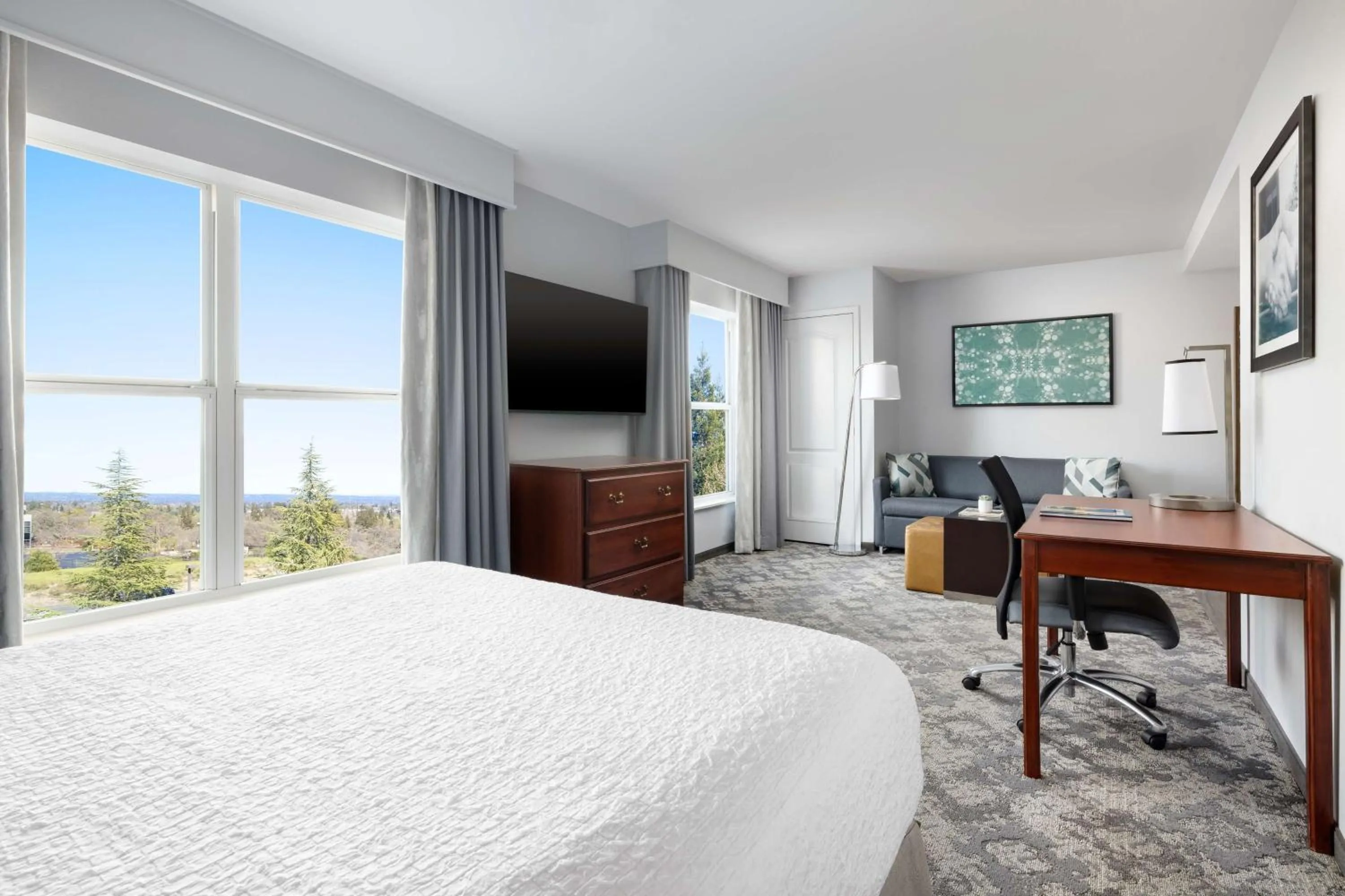 Living room, Bed in Homewood Suites by Hilton Sacramento/Roseville