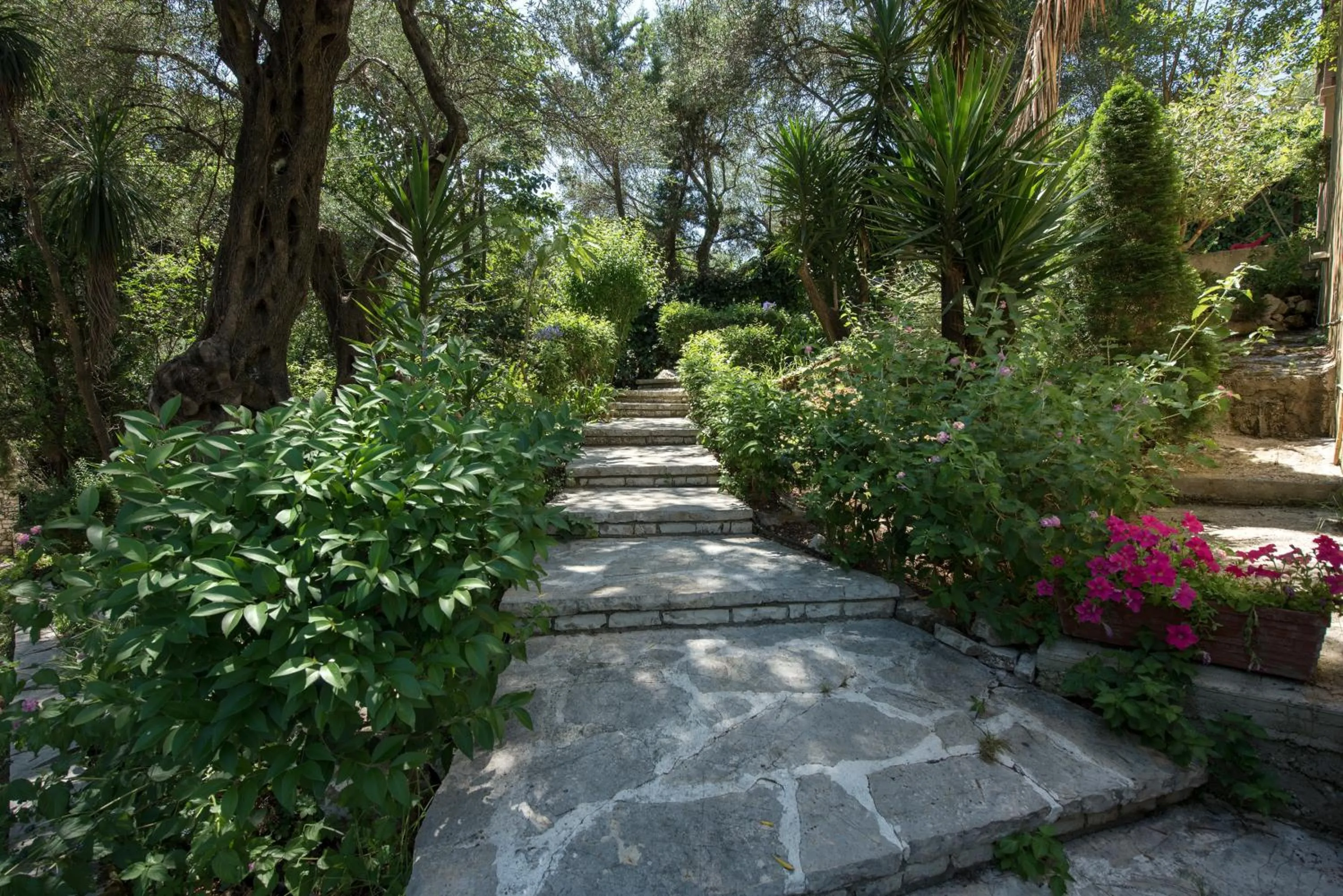 Villa Lofos