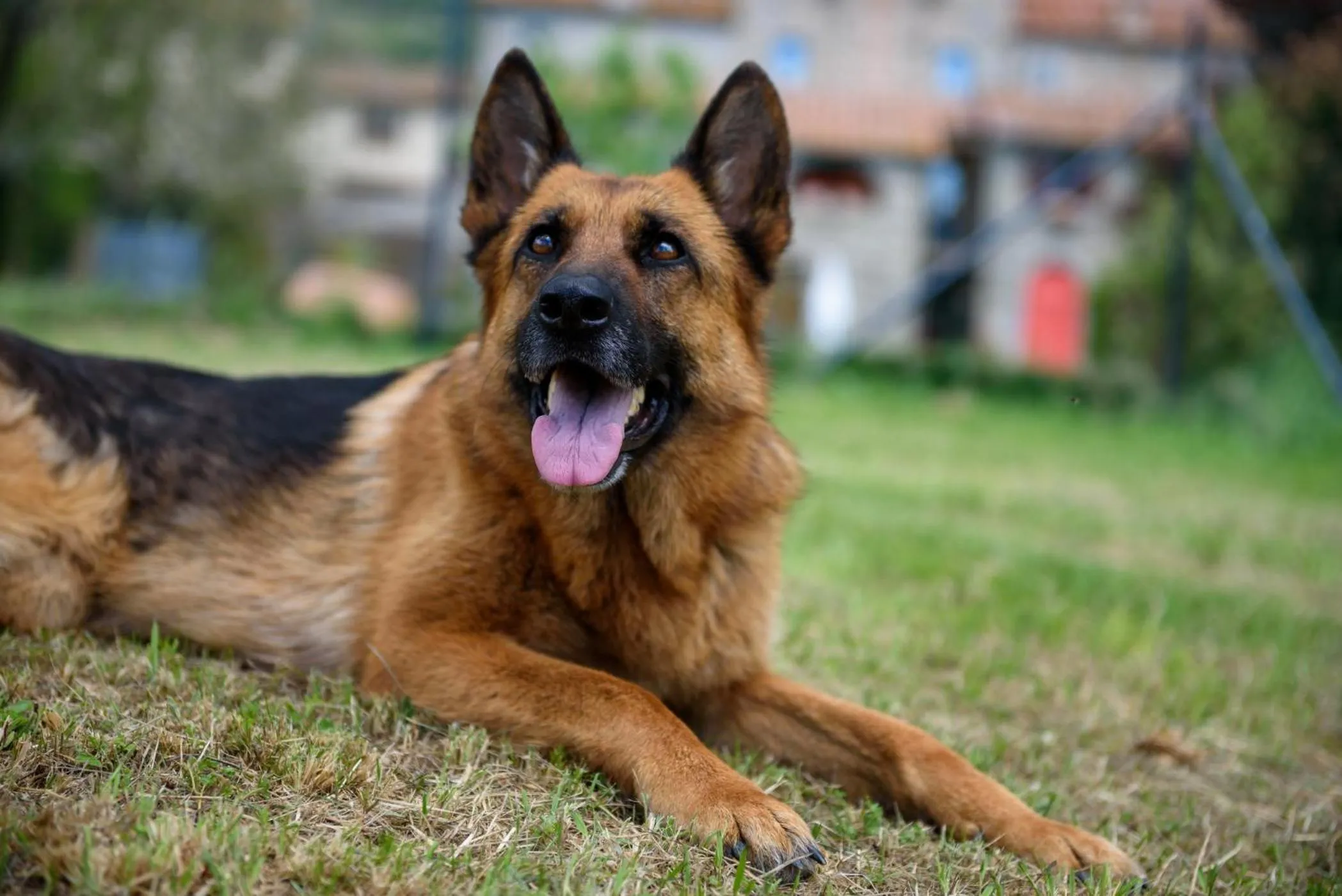 Monastero San Silvestro