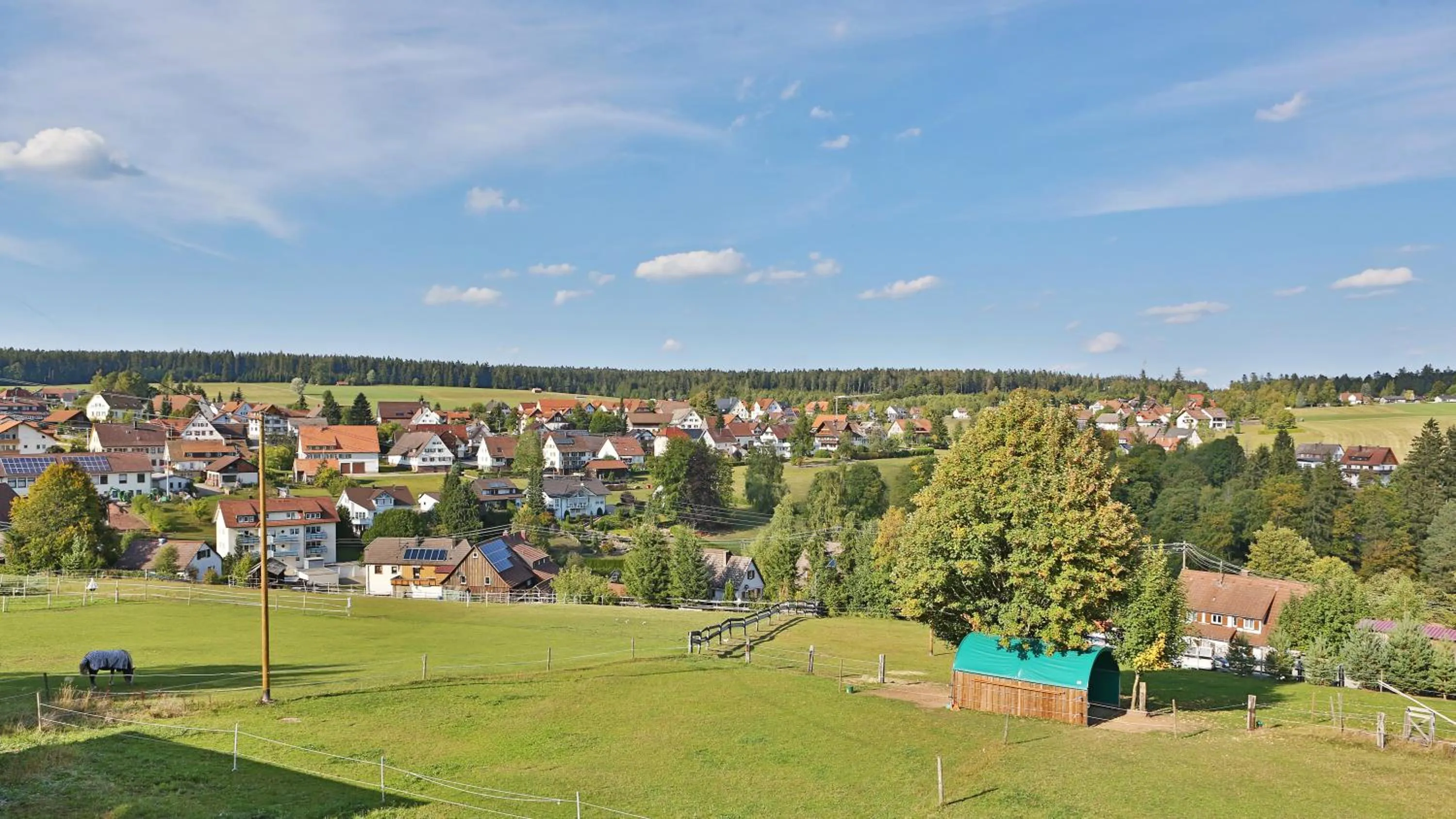 Natural landscape in Landpension Pferdekoppel - B&B - Self Checkin