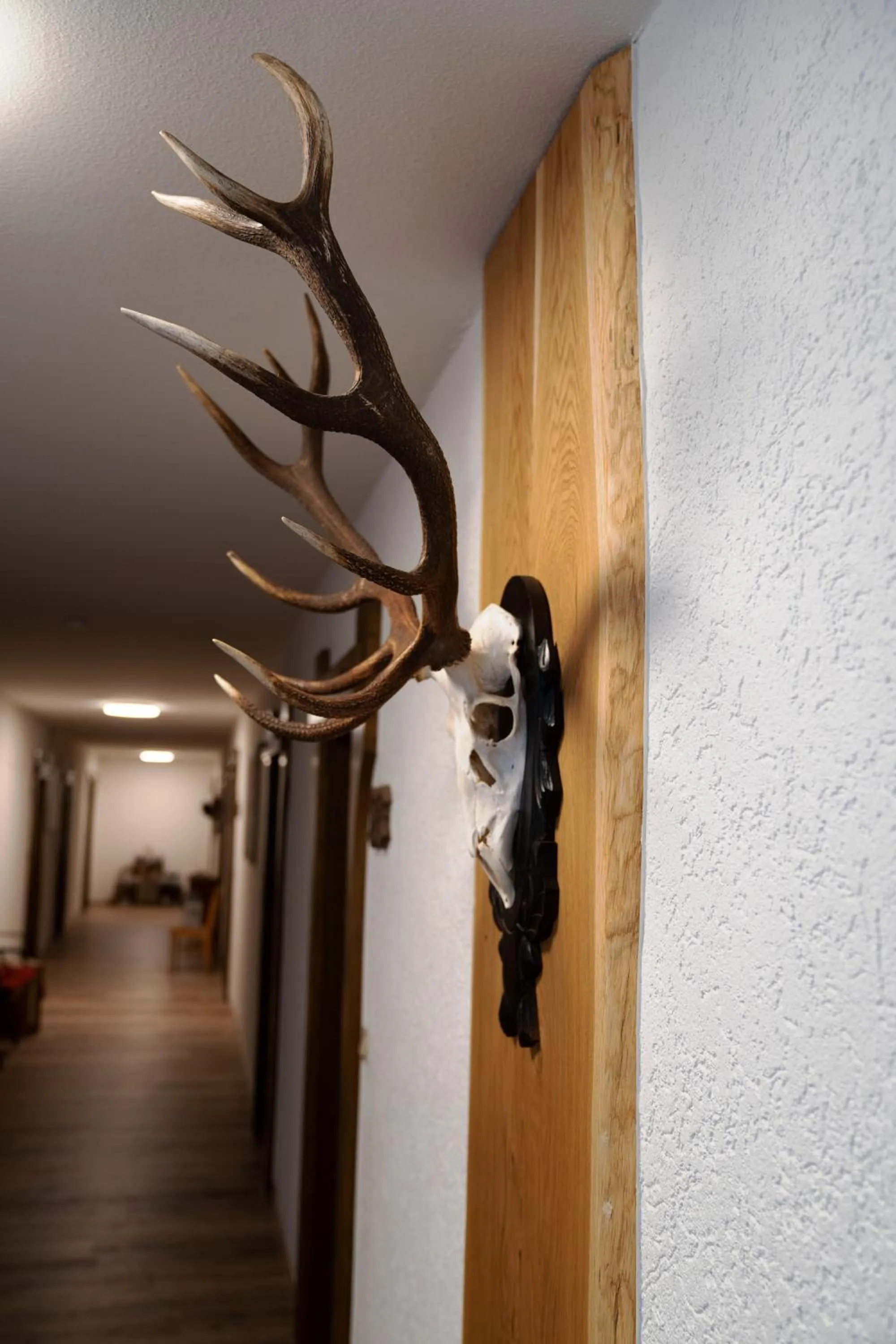 Landpension Pferdekoppel - B&B - Self Checkin