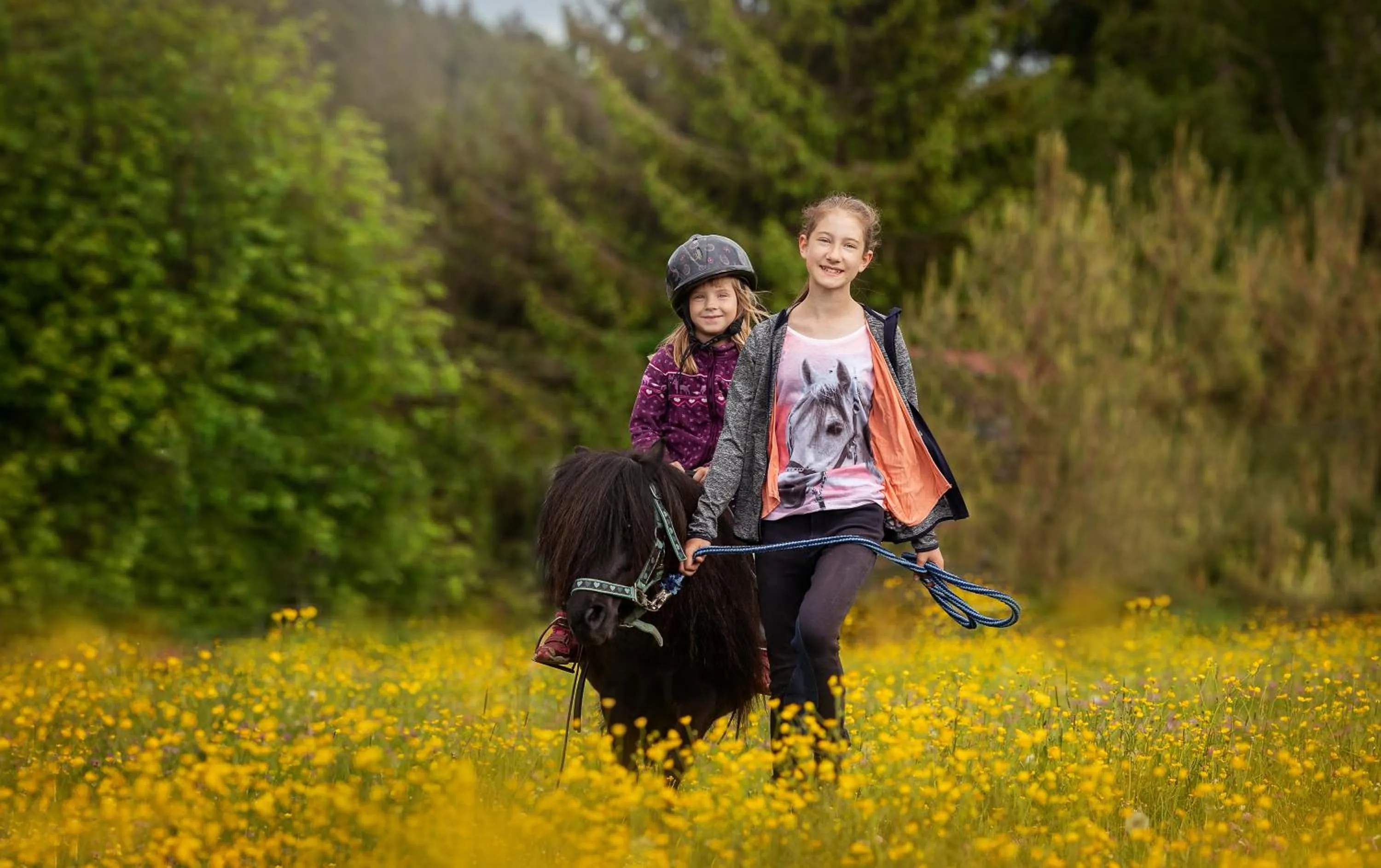 Horse-riding in Landpension Pferdekoppel - B&B - Self Checkin
