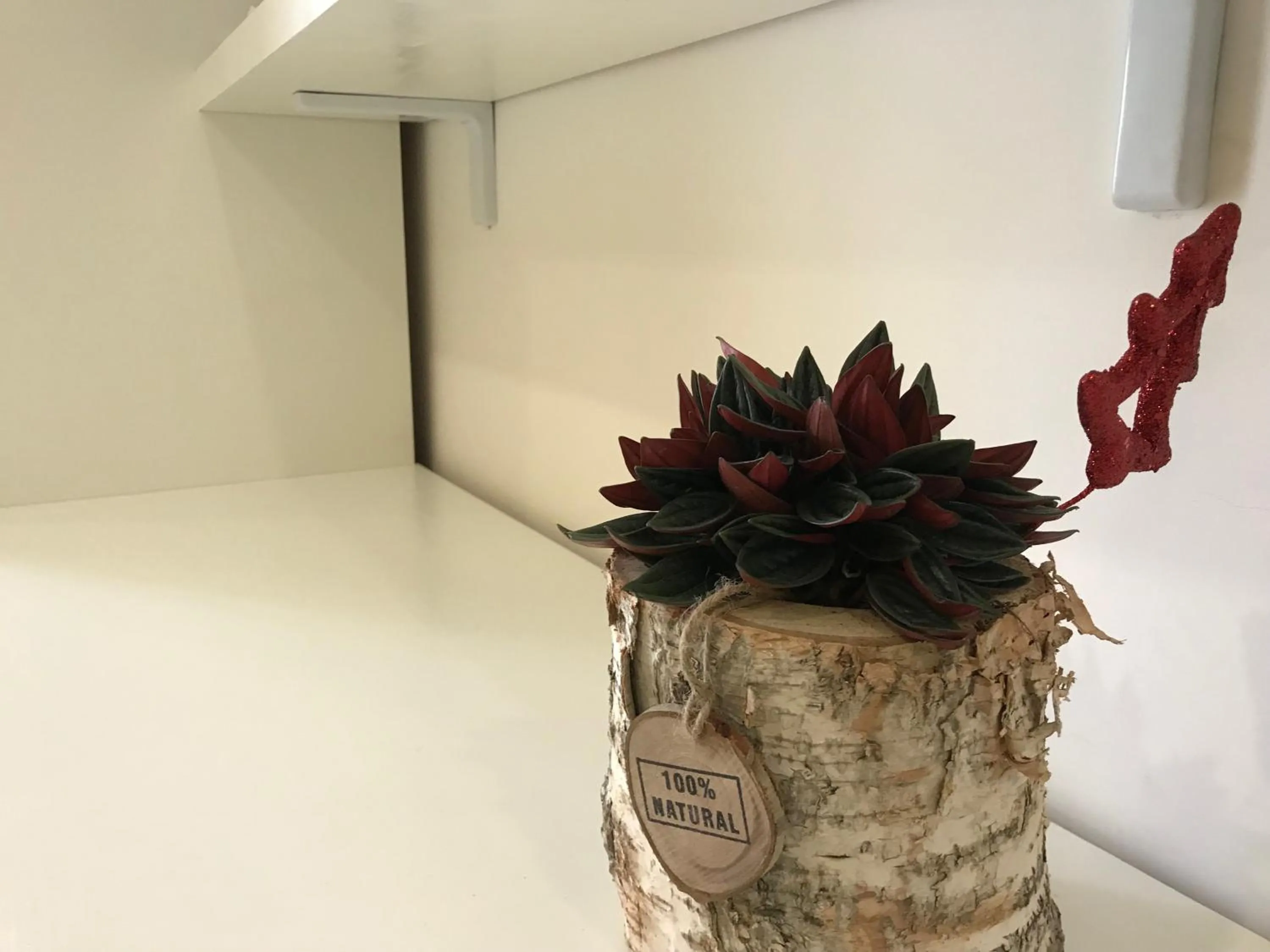 Terrazza Aragon Room and SPA