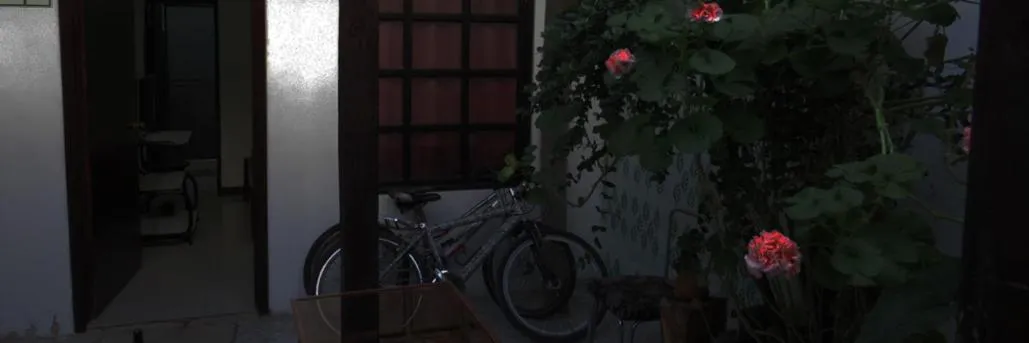 Patio in Hotel Aroma del Bosque Posada Cafe