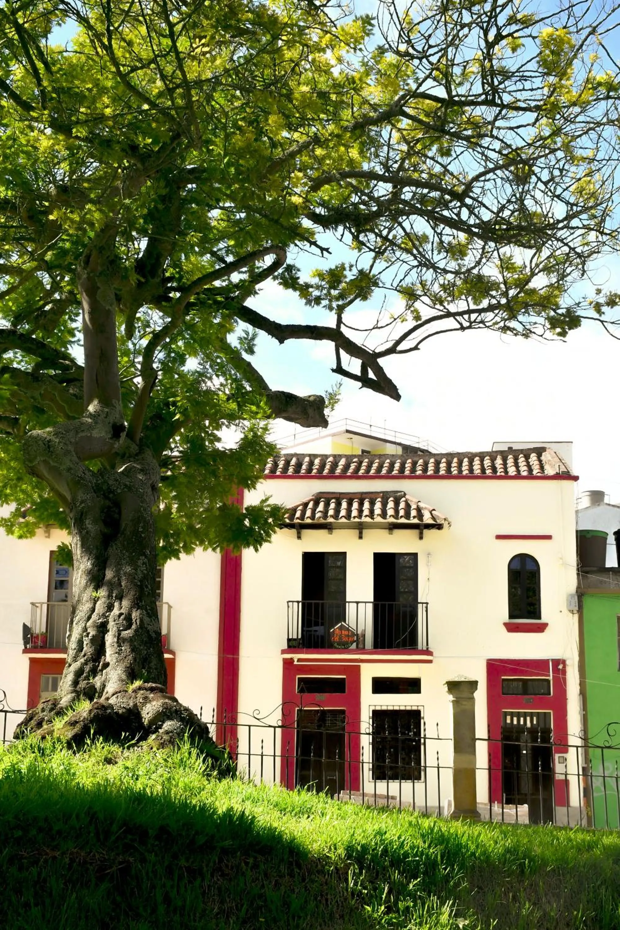 Property building in Hotel Aroma del Bosque Posada Cafe
