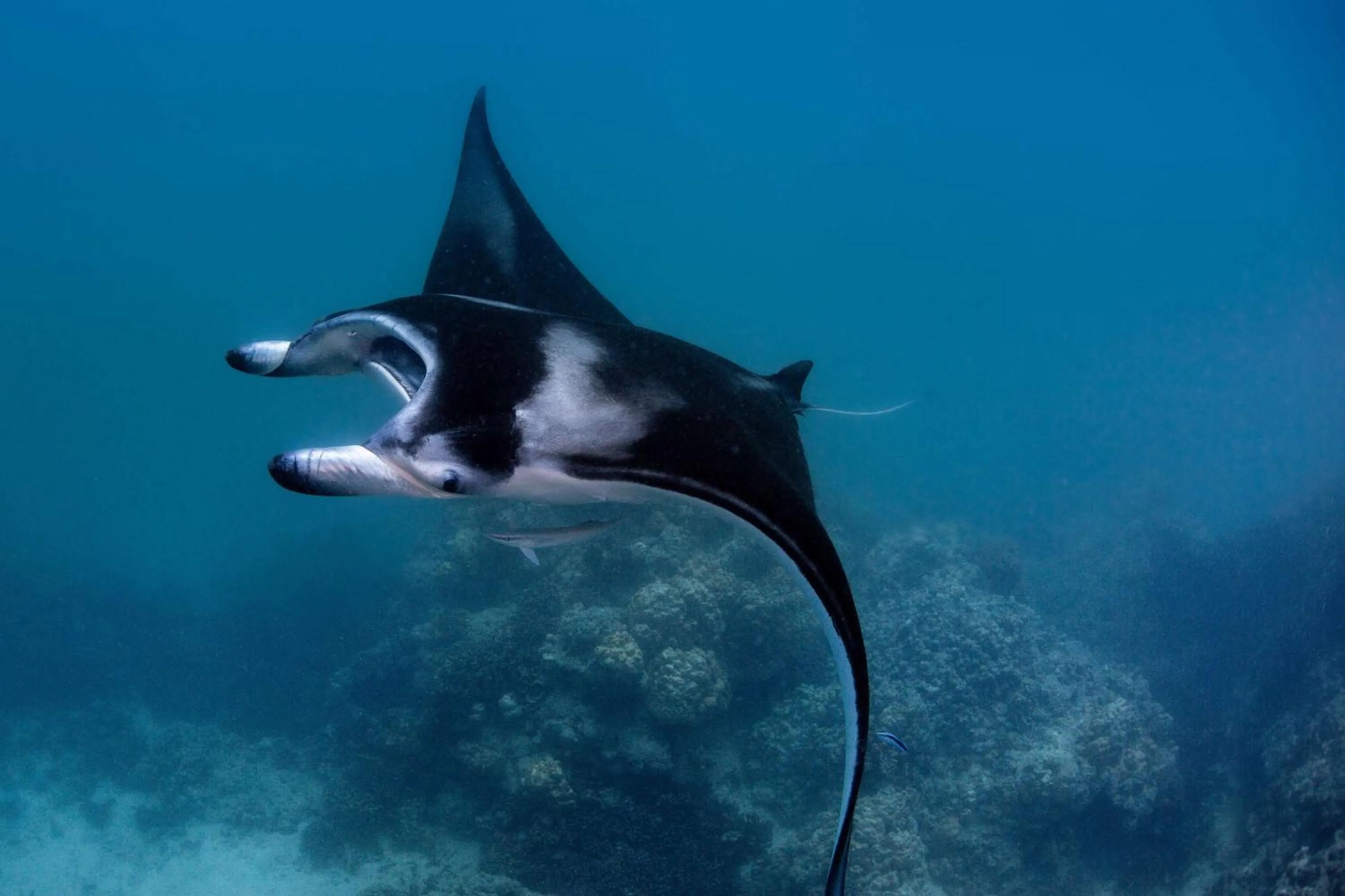Sports in Conrad Bora Bora Nui