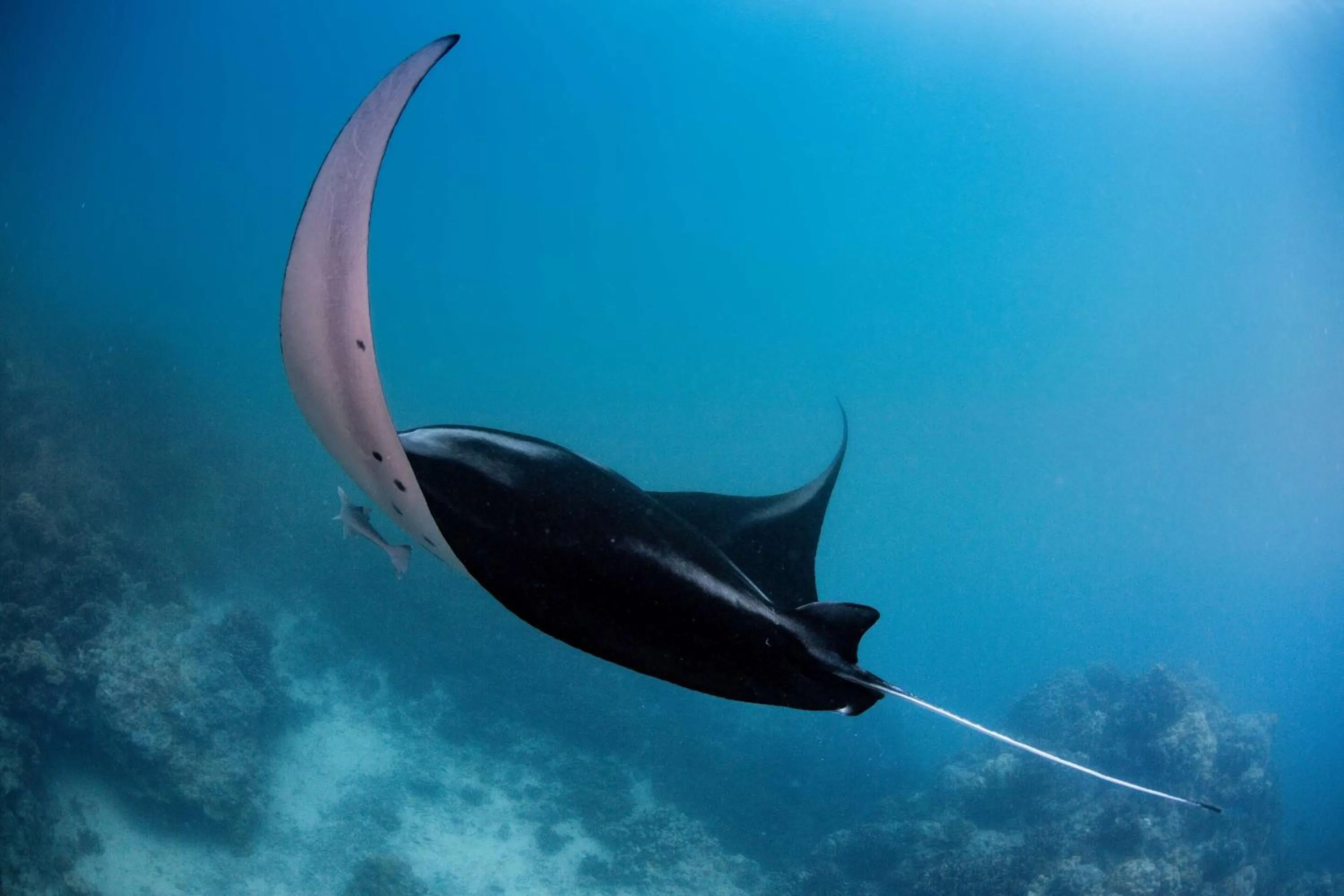 Sports in Conrad Bora Bora Nui