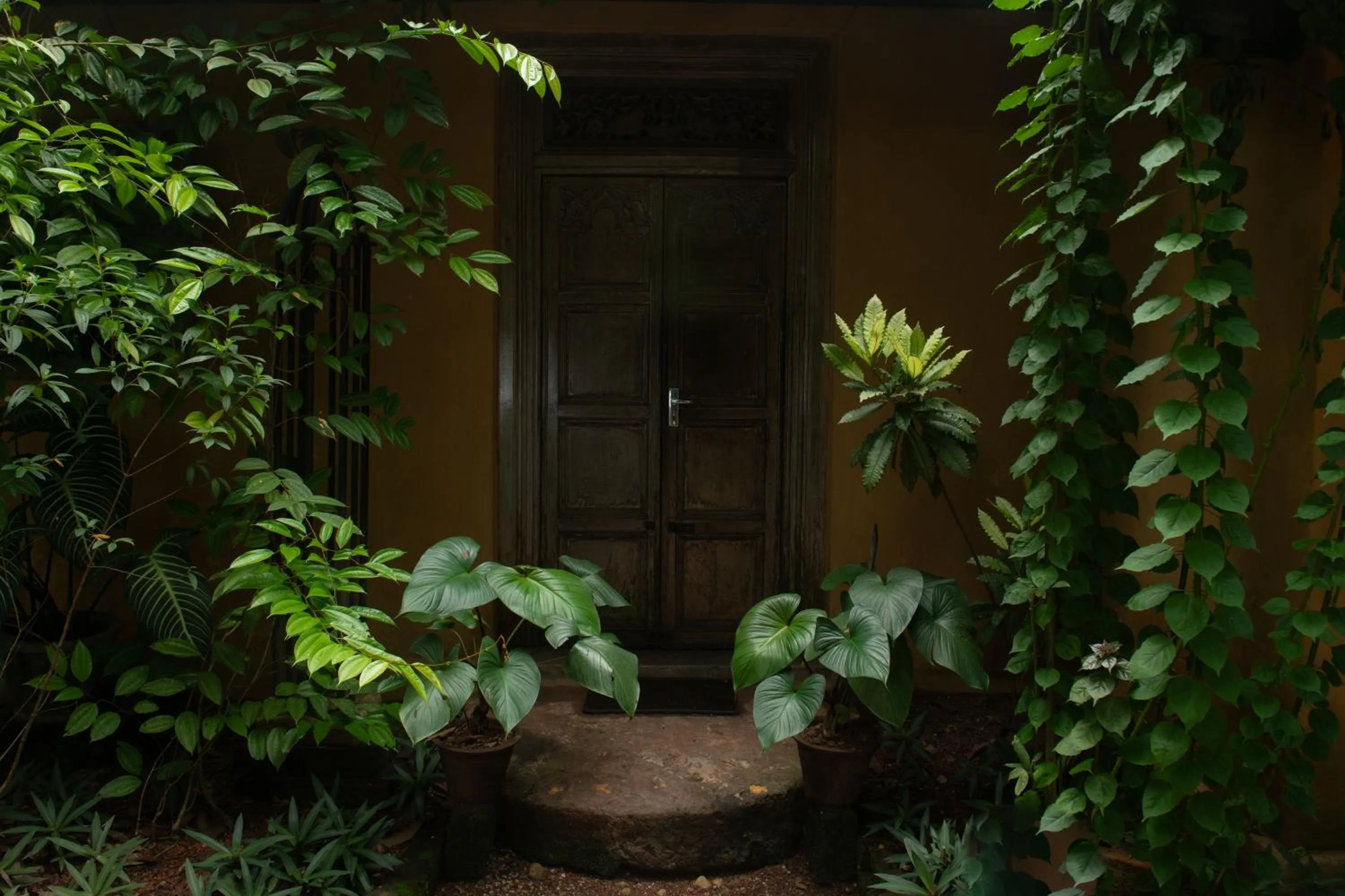 Casa Heliconia