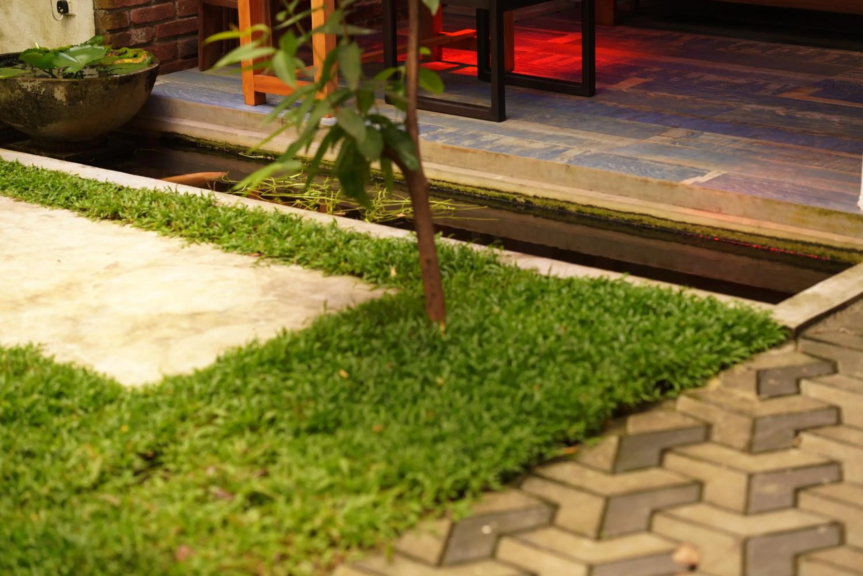 Garden in Temple Tree