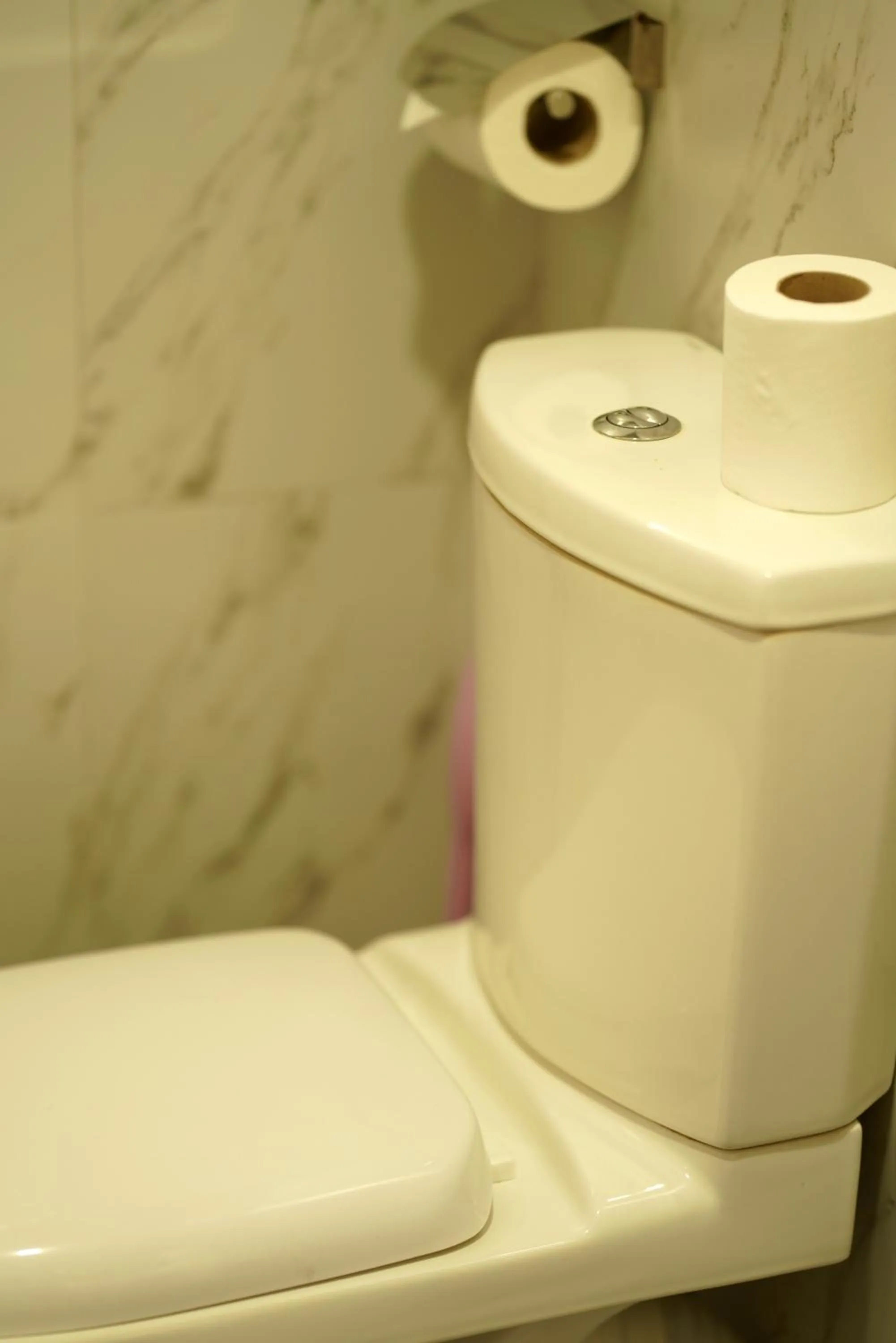 Toilet in Temple Tree