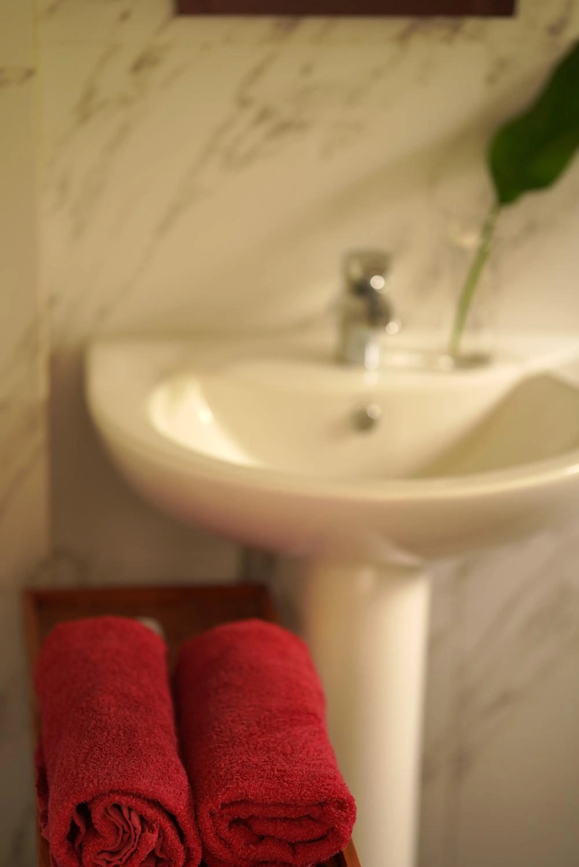 Bathroom in Temple Tree