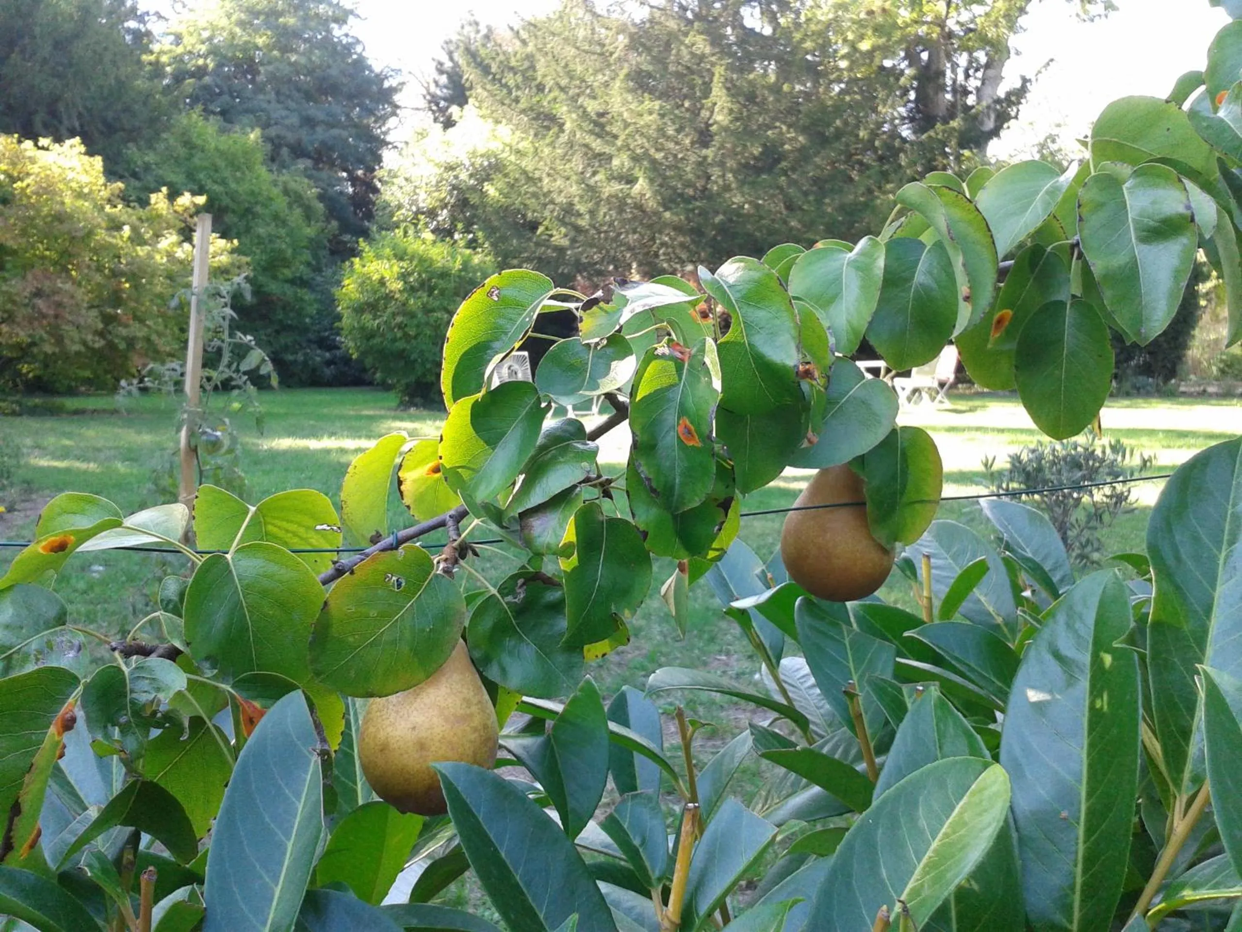 Day in La Héraudière Bed & Breakfast