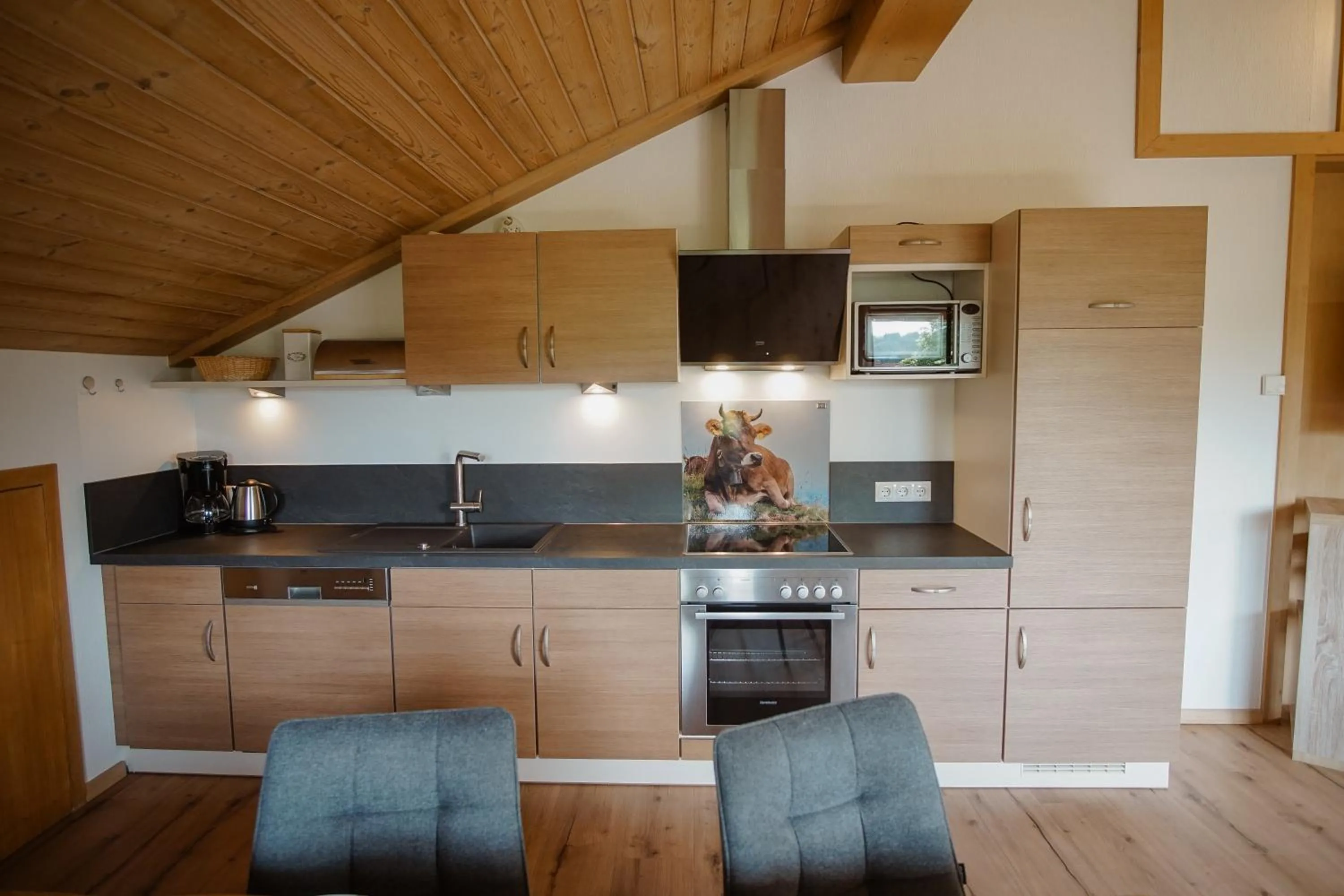 Alpenstern Finy, Bio-Gästehaus