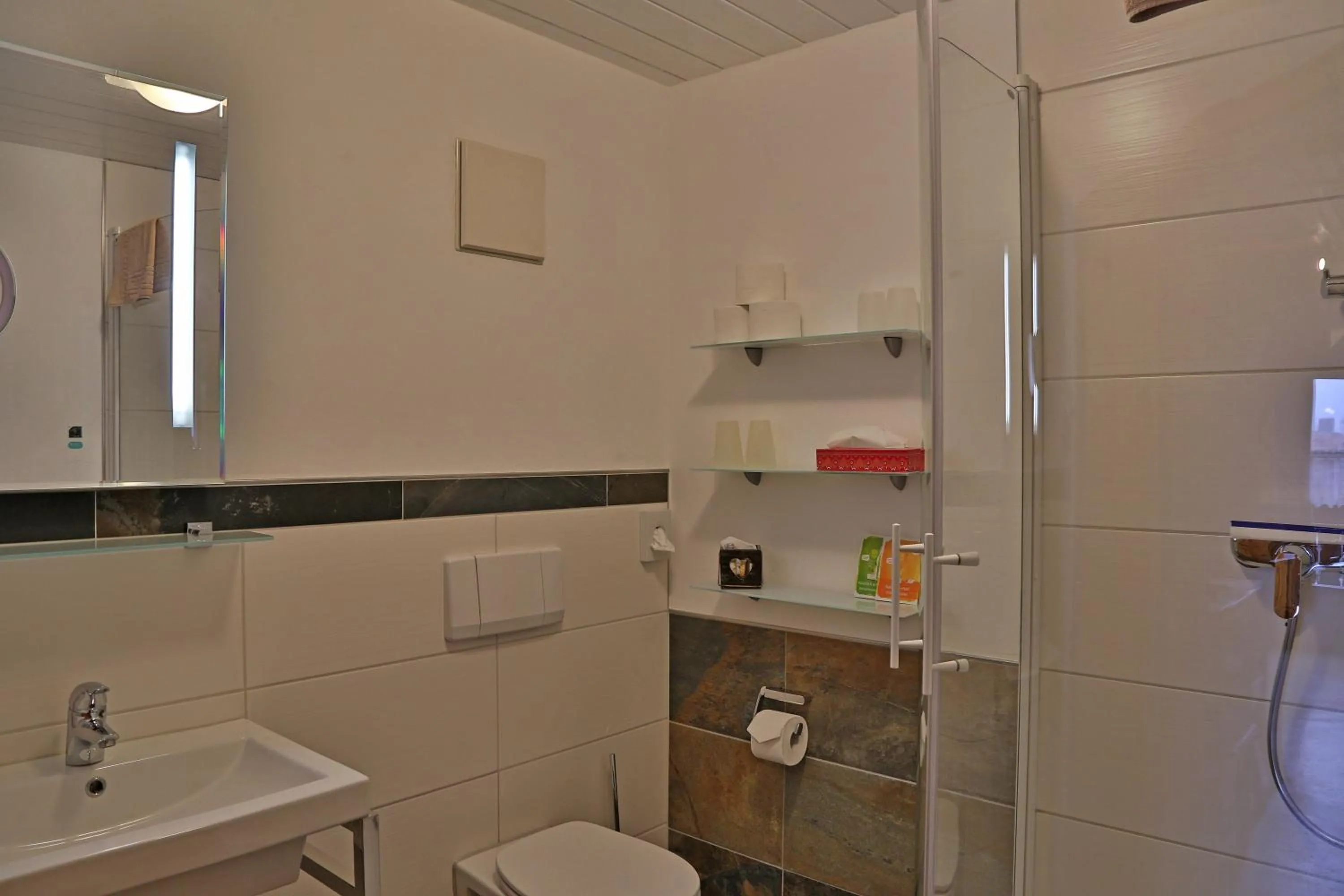 Shower in Alpenstern Finy, Bio-Gästehaus