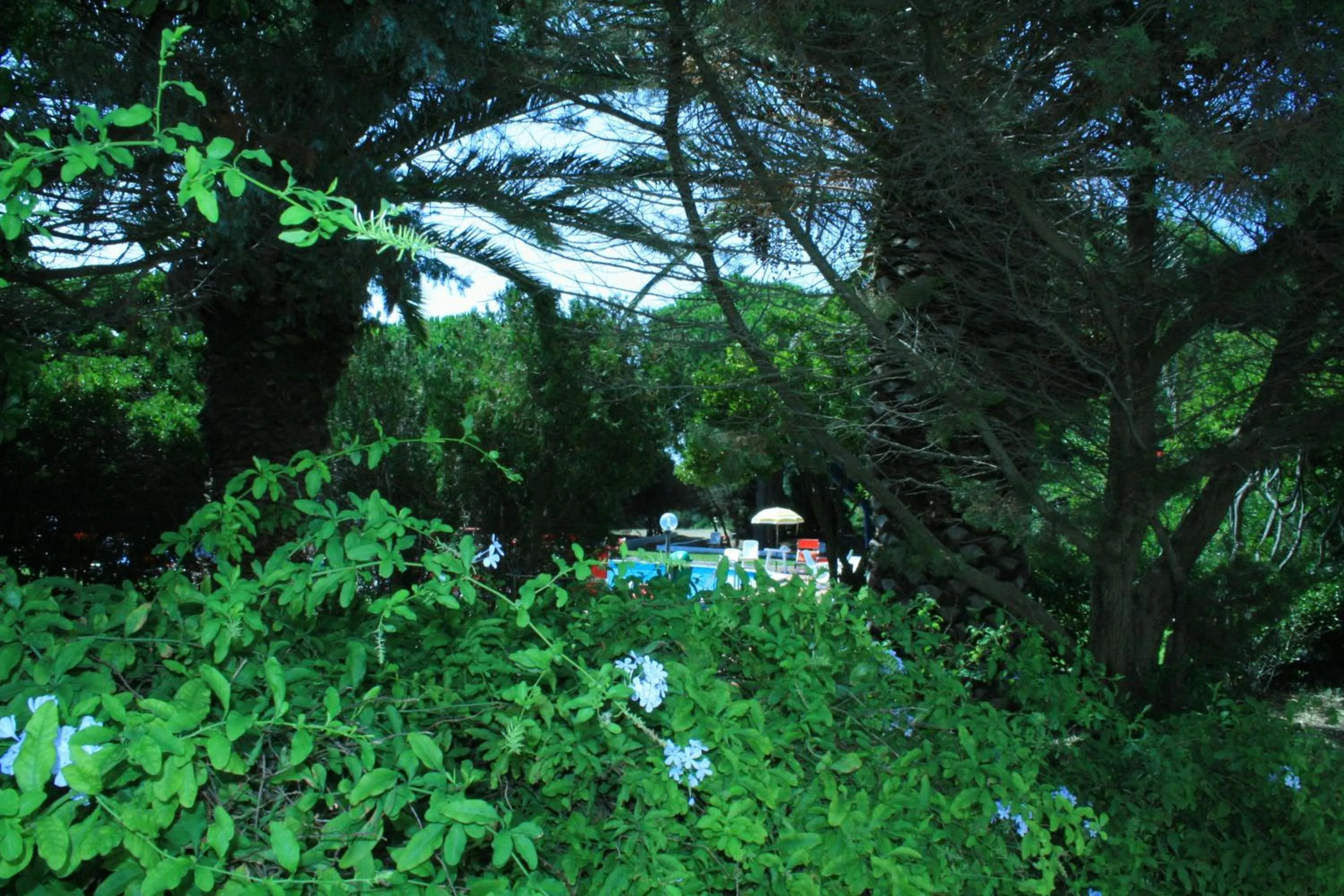 Facade/entrance in Hotel Mirage