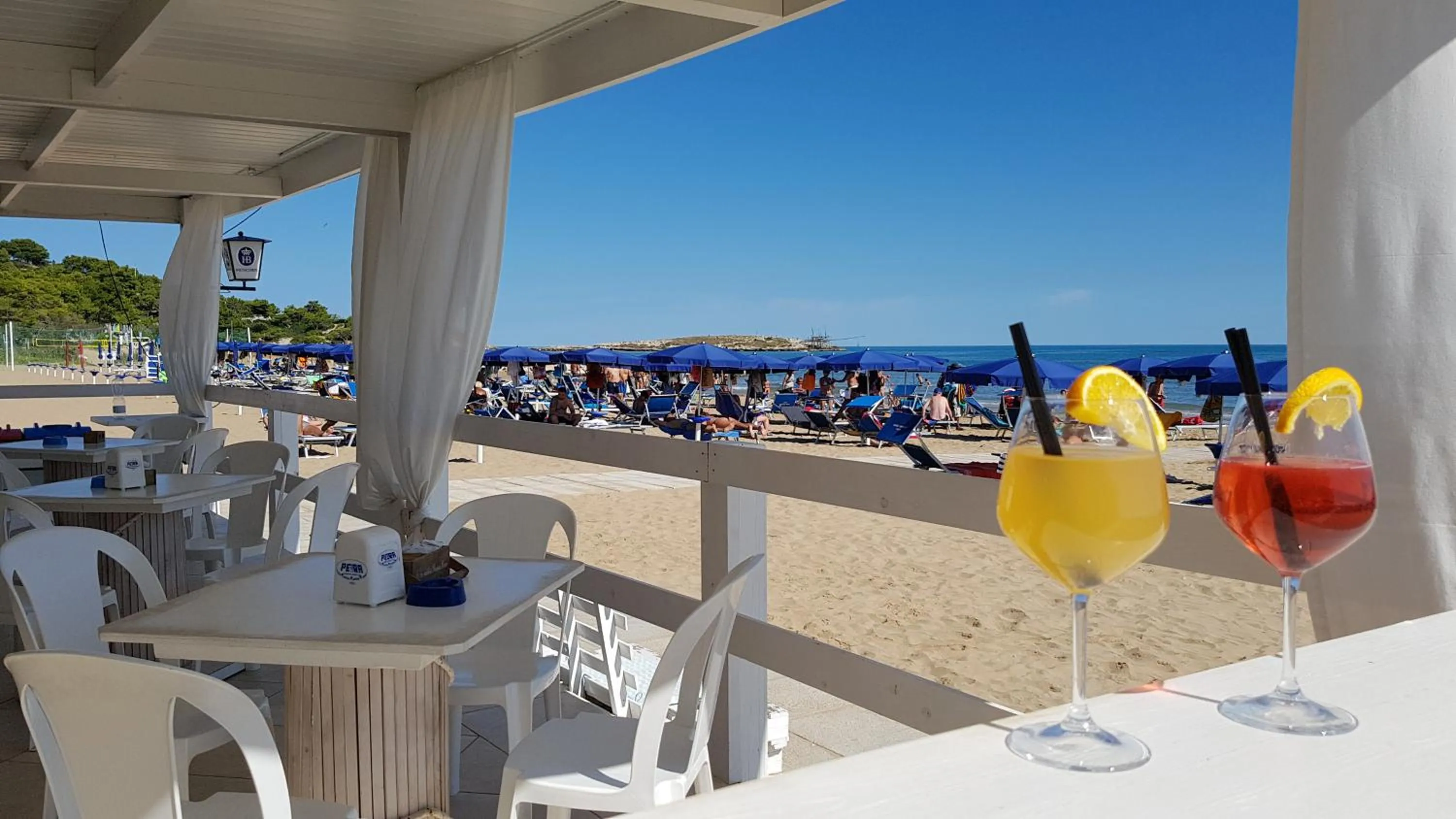 Lounge or bar in Hotel Gabbiano Beach