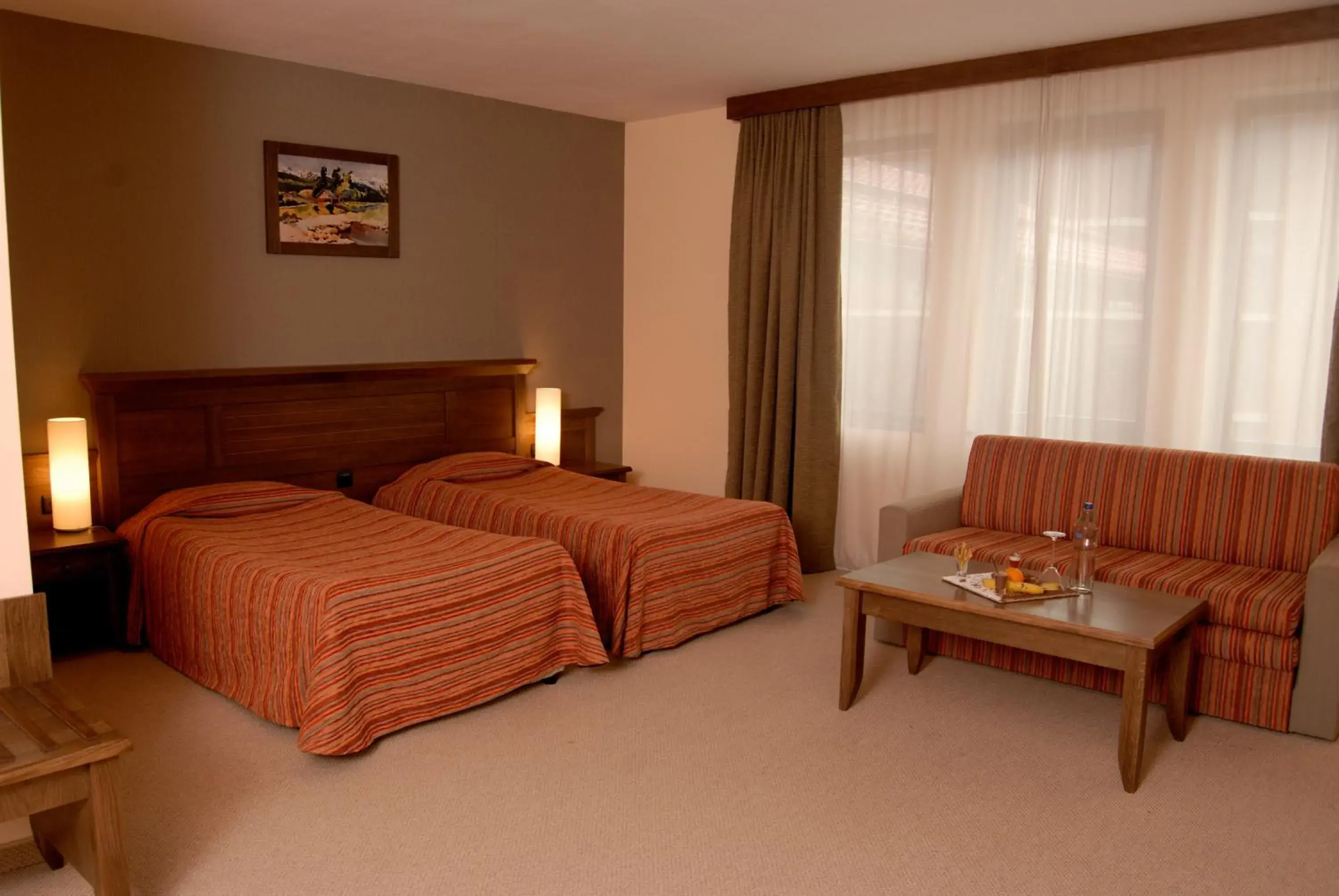 Double or Twin Room in Lion Bansko Hotel Double or Twin Room in Lion Bansko Hotel