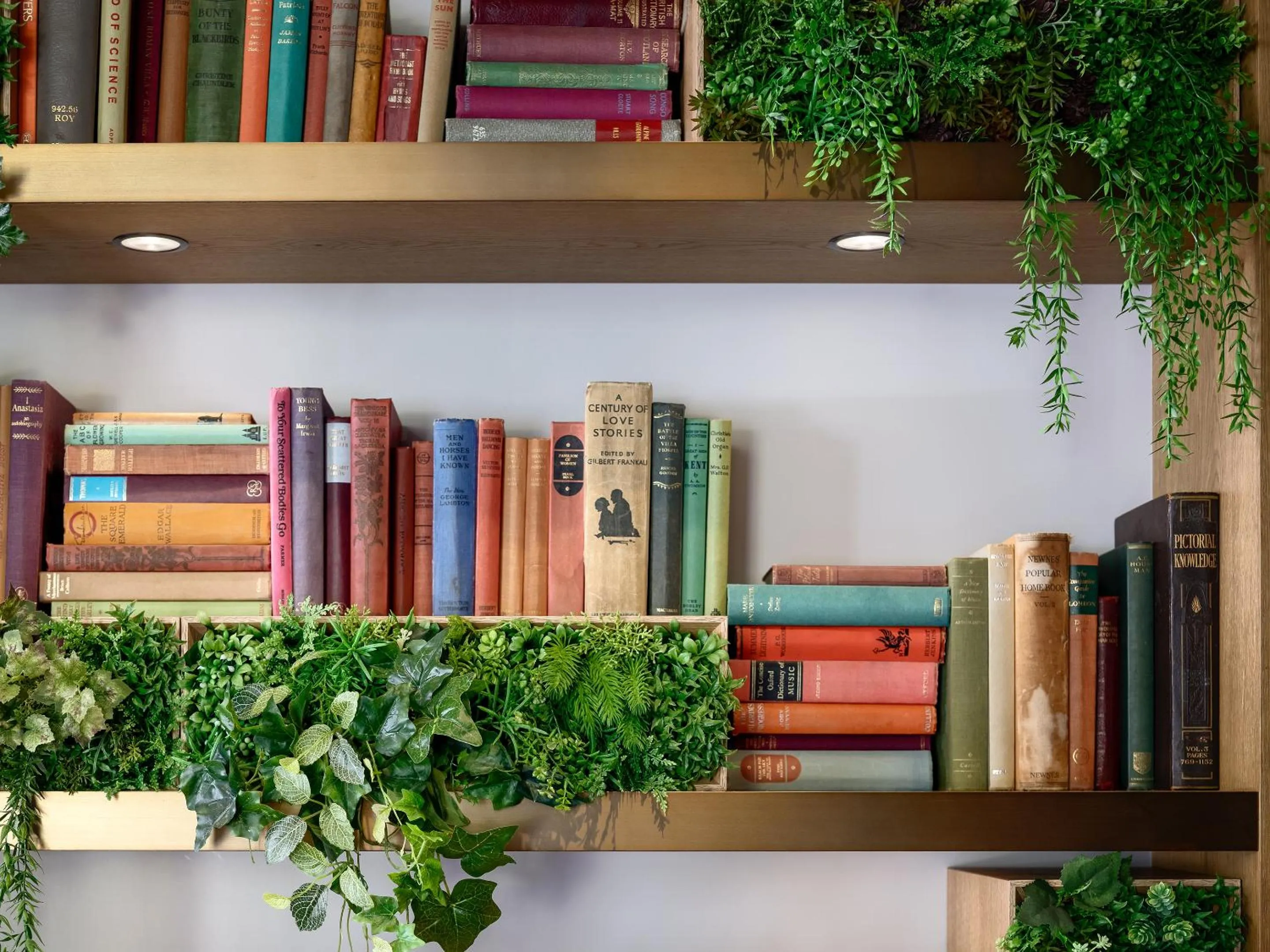 Lobby or reception in Mitsui Garden Hotel Otemachi - Tokyo