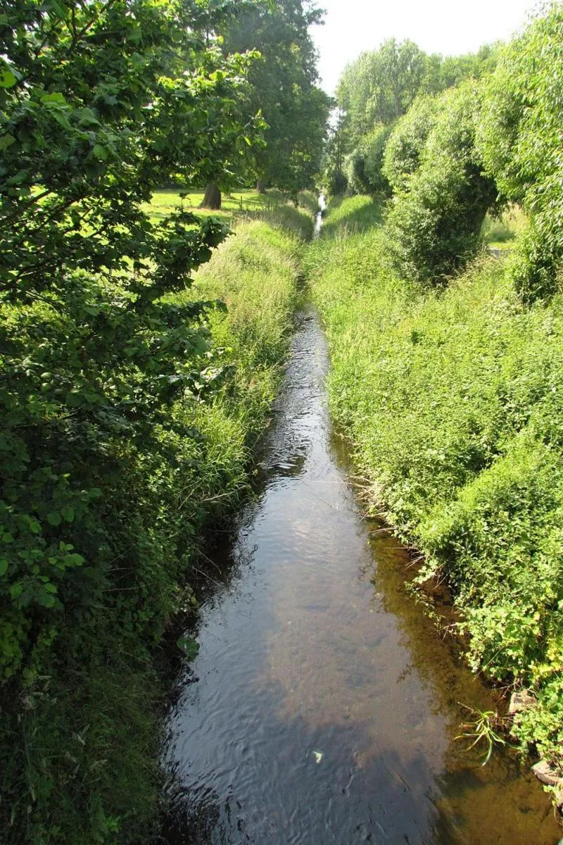Natural landscape in B&B 't Wehrzien
