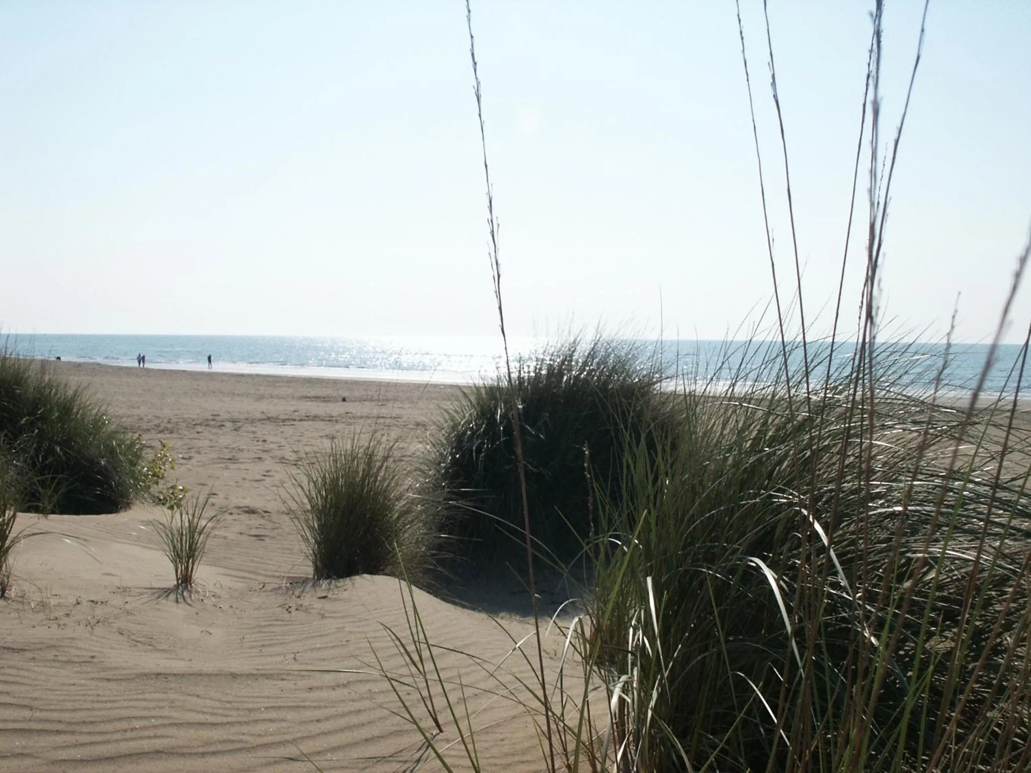 Beach in B&B A Casa di Marta