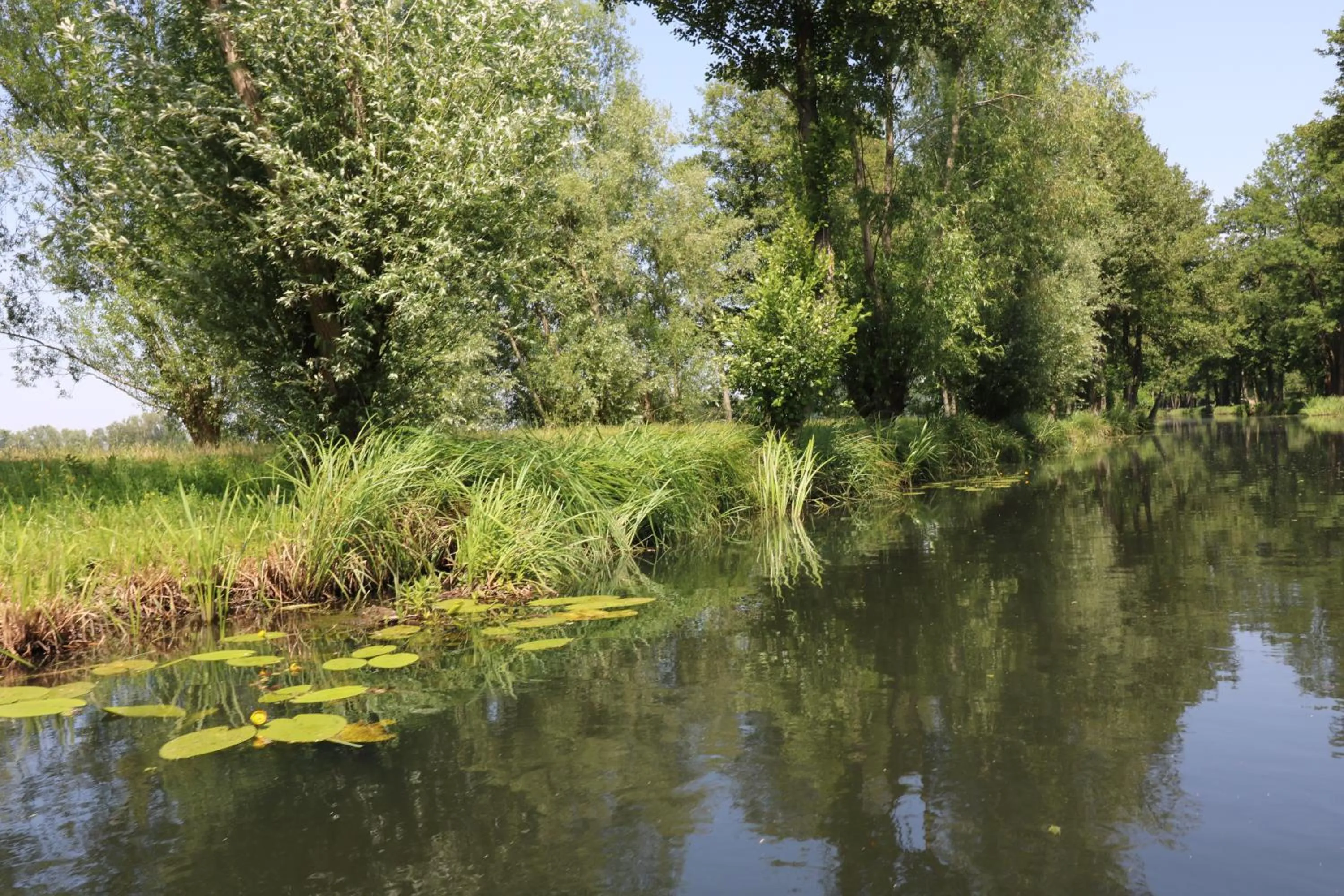 Nearby landmark in Spreewaldhotel Garni Raddusch