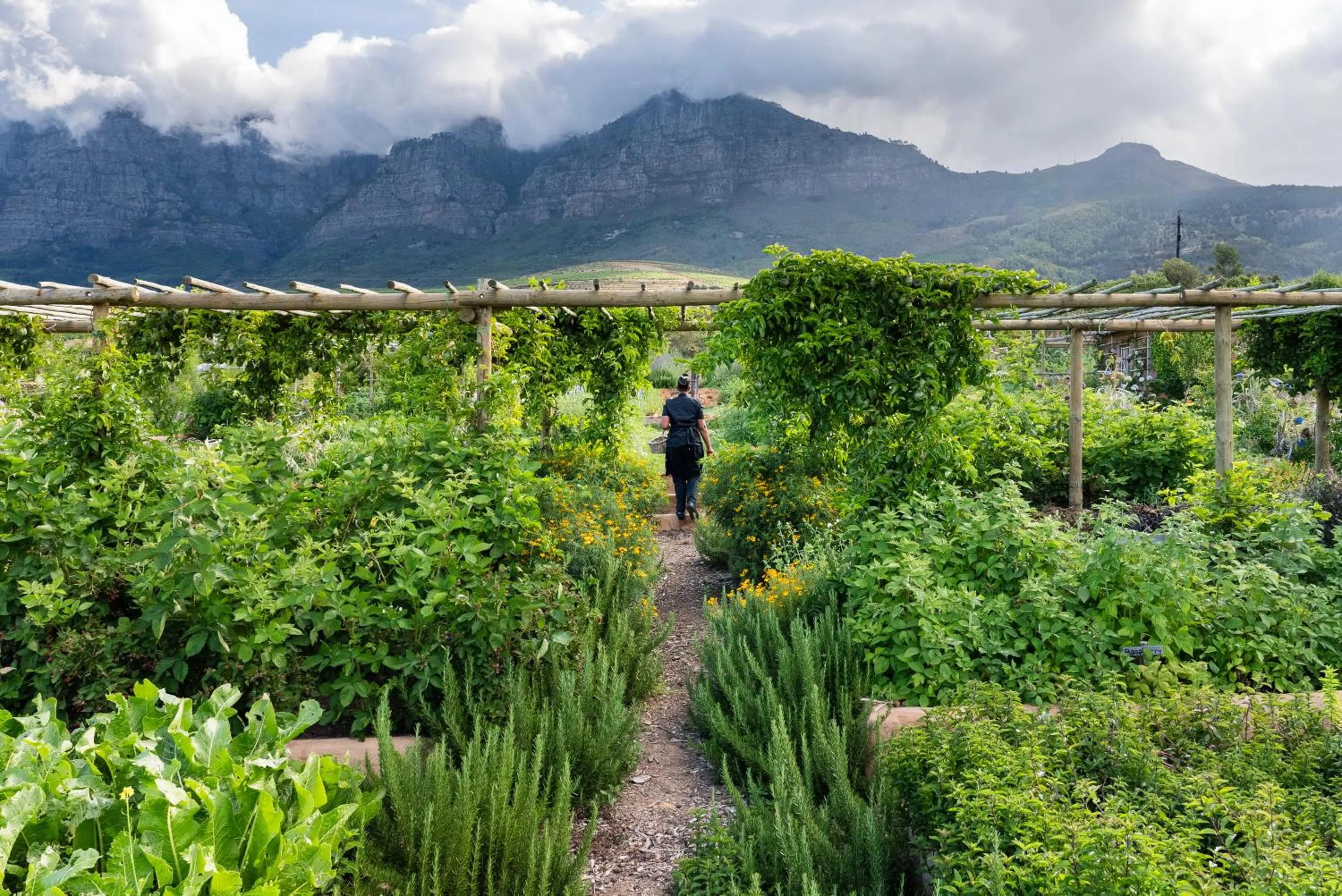 Garden view in Angala