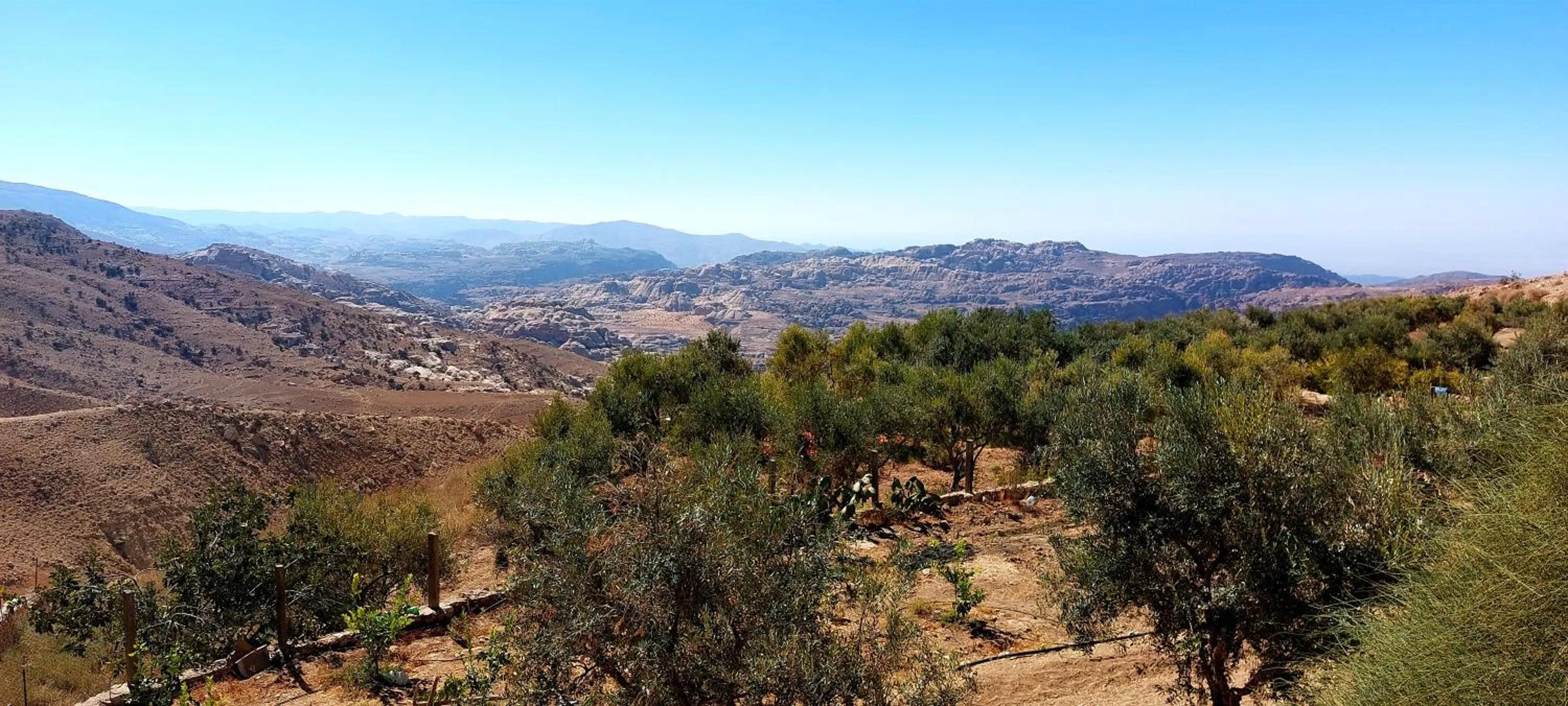 Mountain view in Hayat Zaman Hotel And Resort Petra