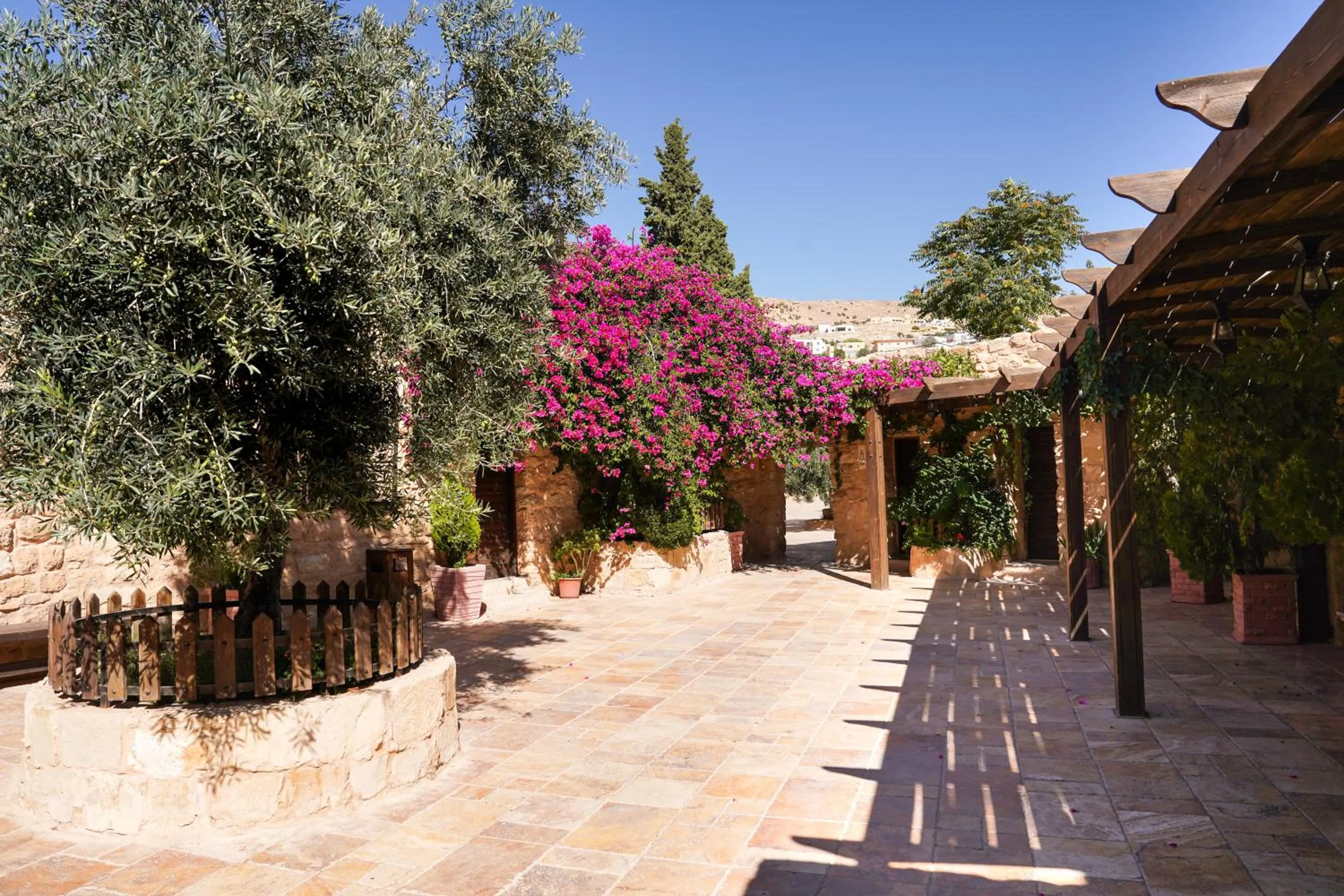 Garden in Hayat Zaman Hotel And Resort Petra