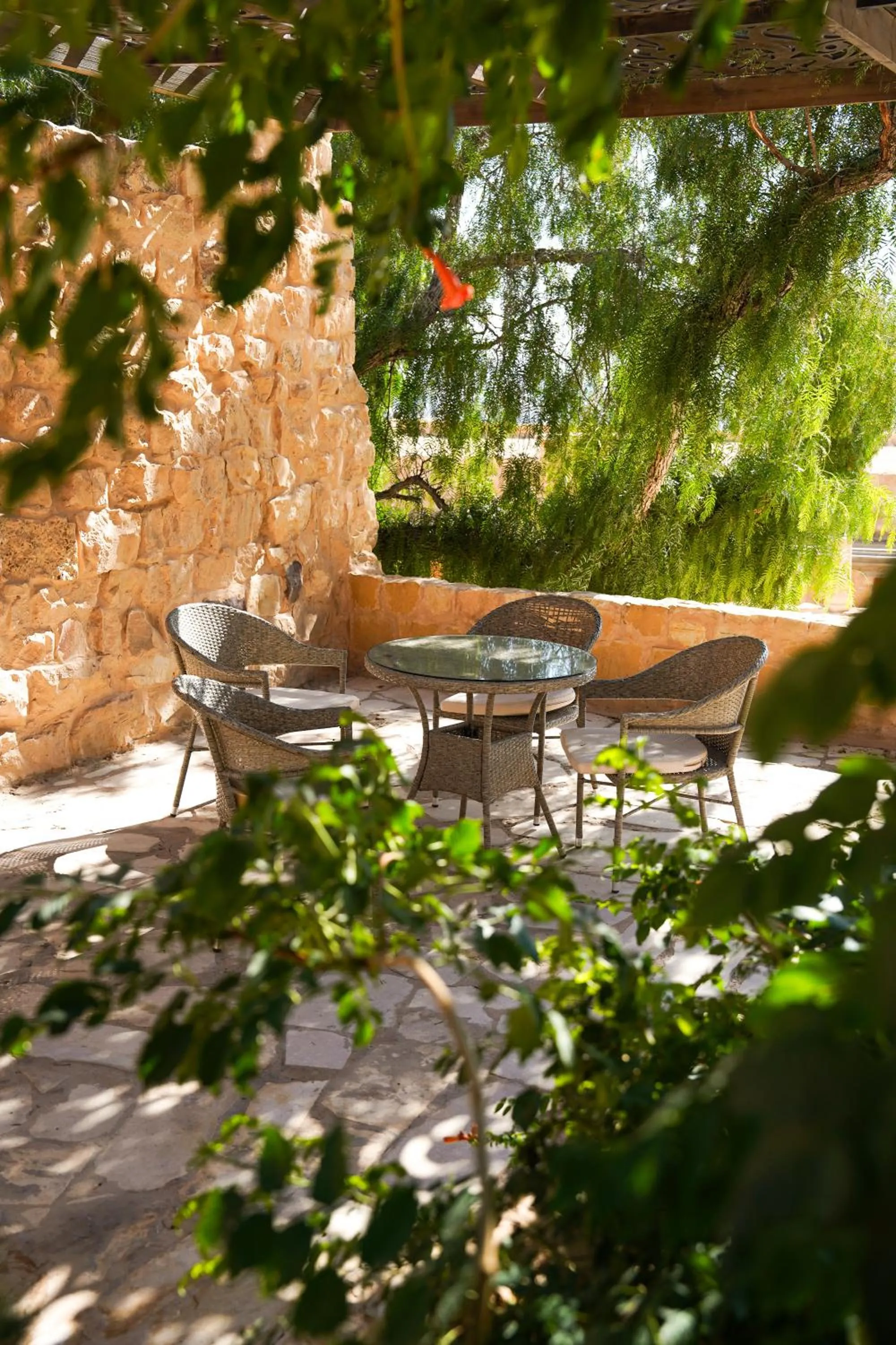 Garden in Hayat Zaman Hotel And Resort Petra