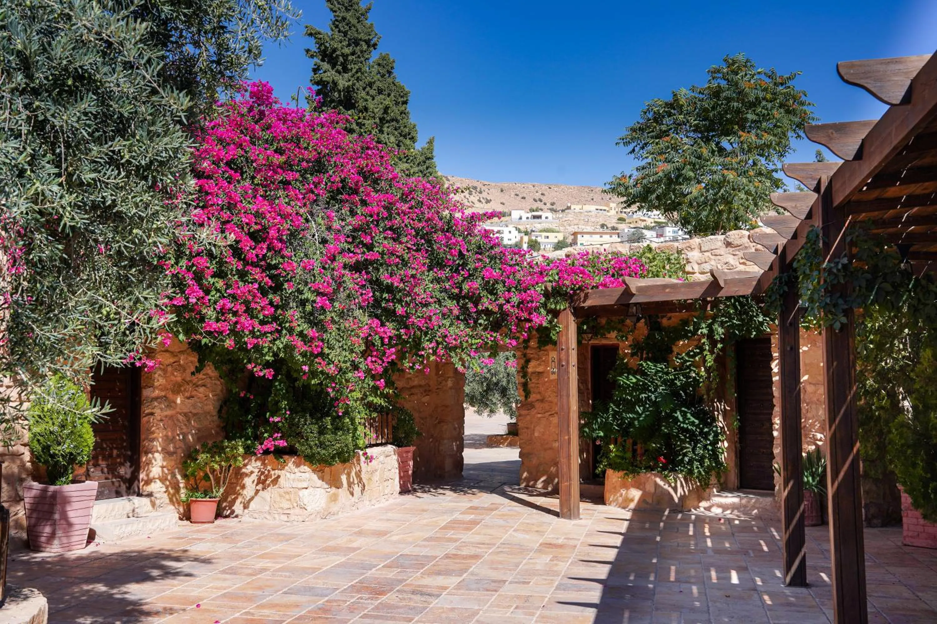 Garden in Hayat Zaman Hotel And Resort Petra