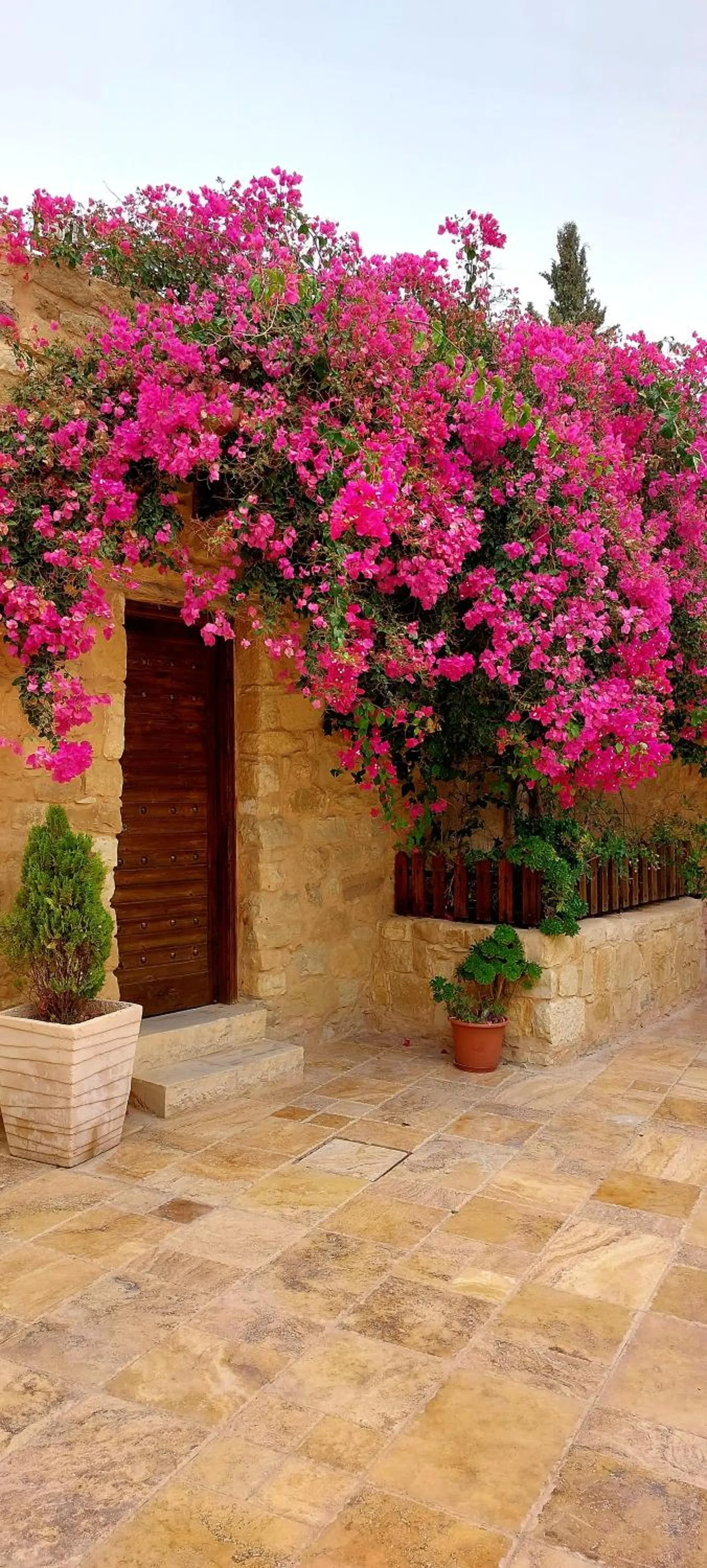 Garden in Hayat Zaman Hotel And Resort Petra