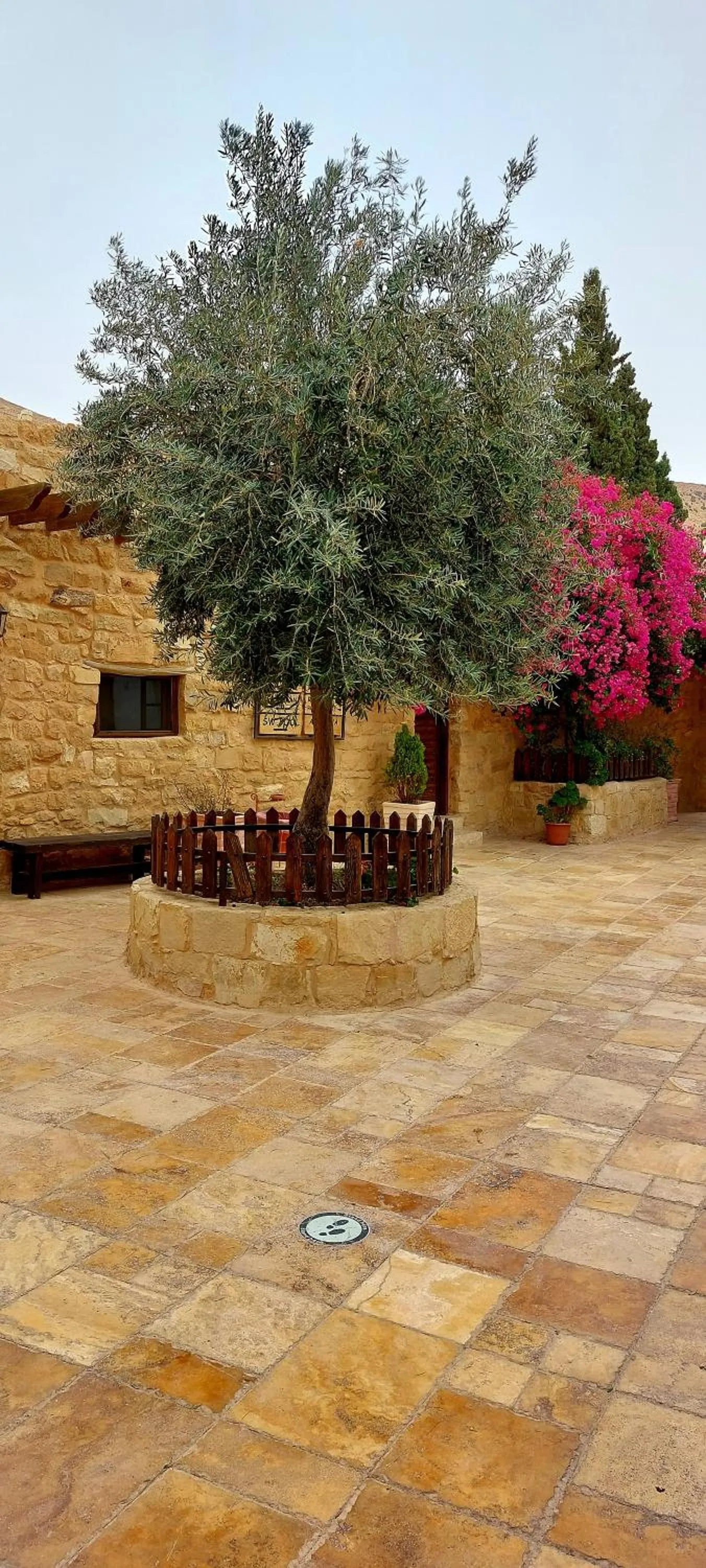 Garden in Hayat Zaman Hotel And Resort Petra