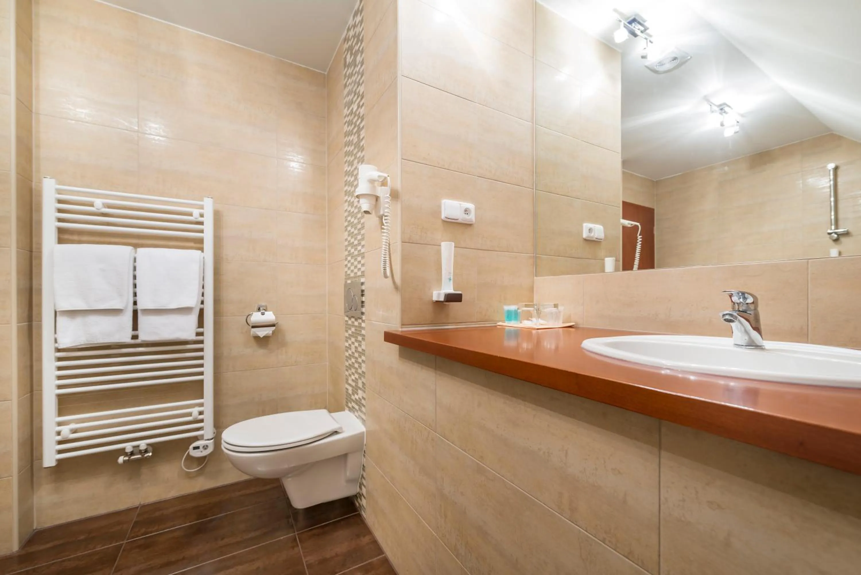 Bathroom in Hotel SKANZEN