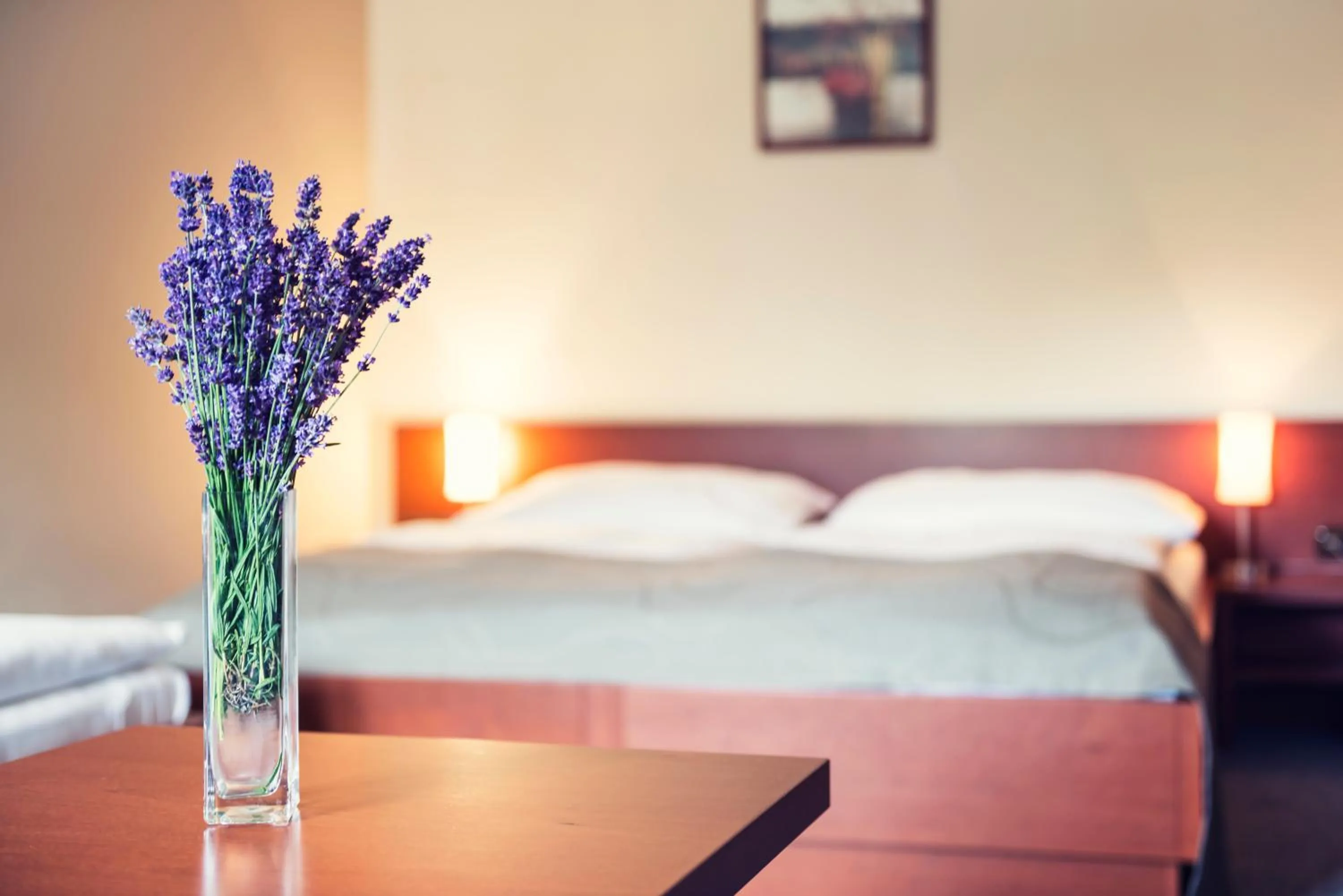 Decorative detail, Bed in Hotel SKANZEN