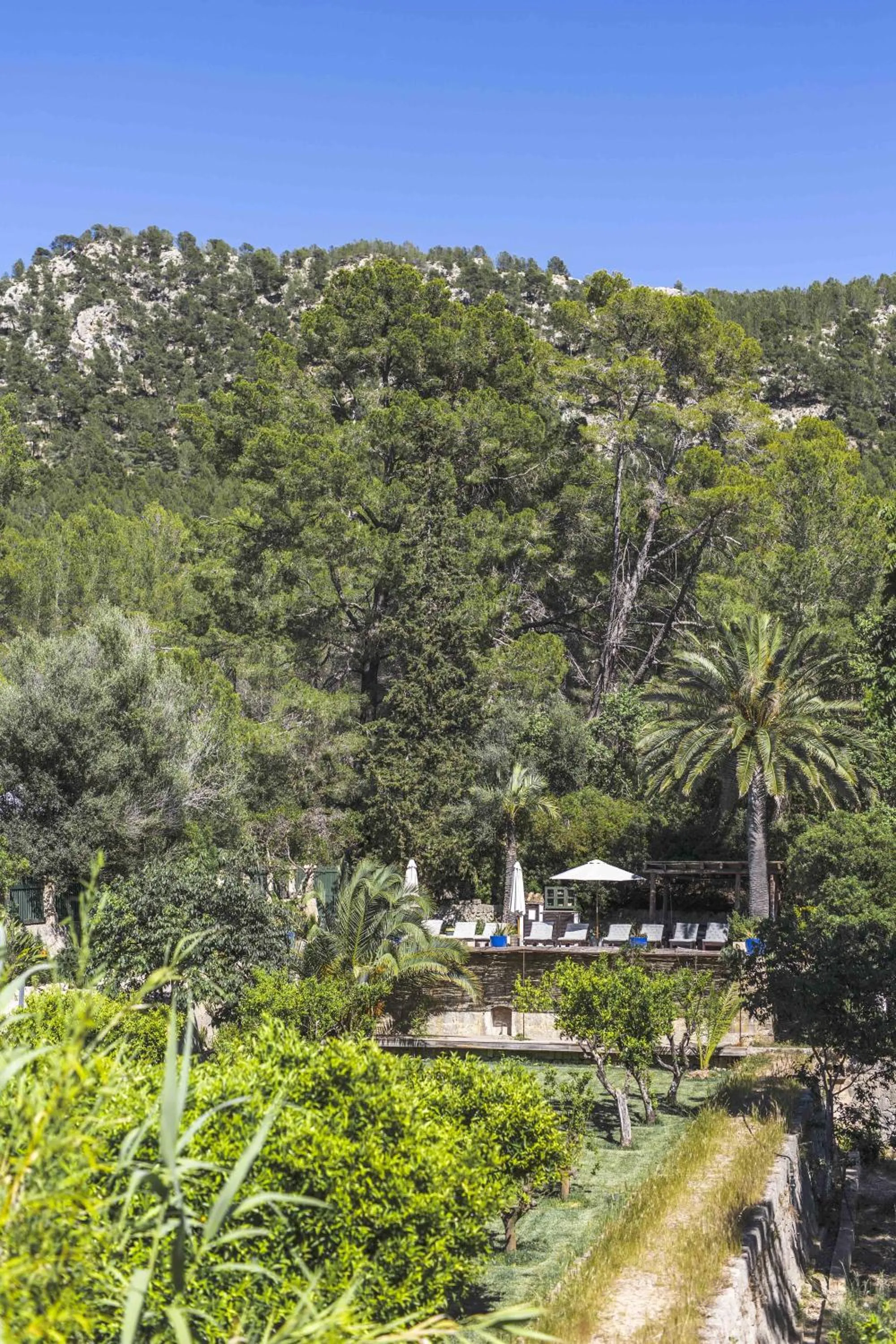 Spring in Agroturismo Son Boronat