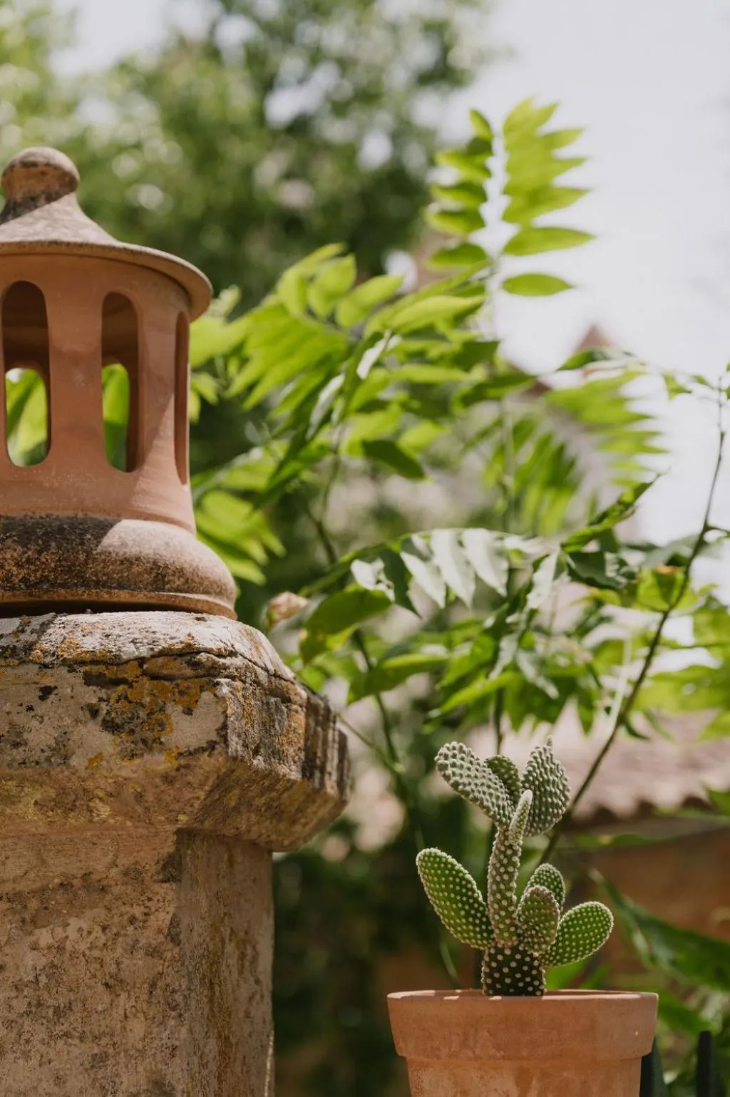 Spring in Agroturismo Son Boronat