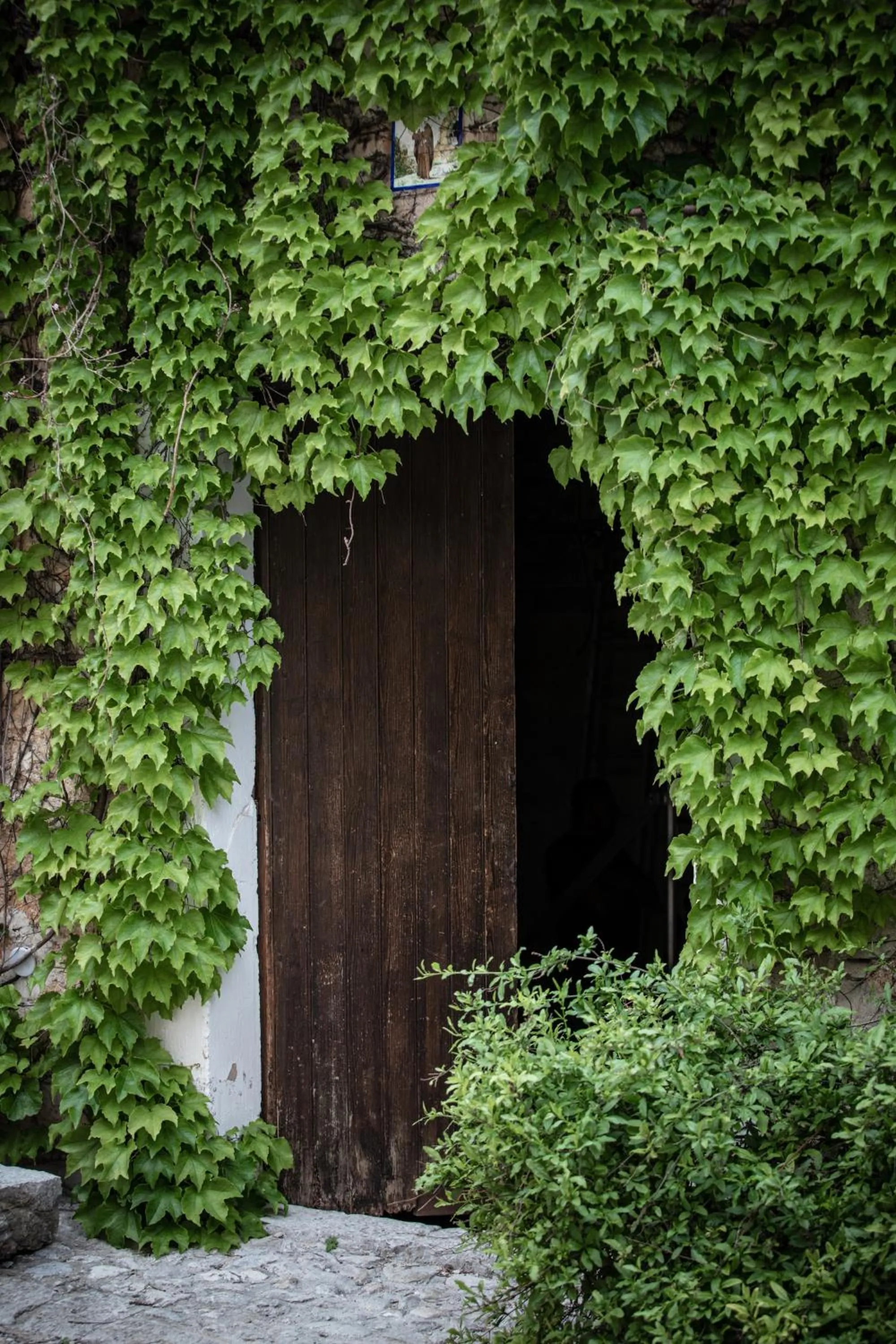 Agroturismo Son Boronat