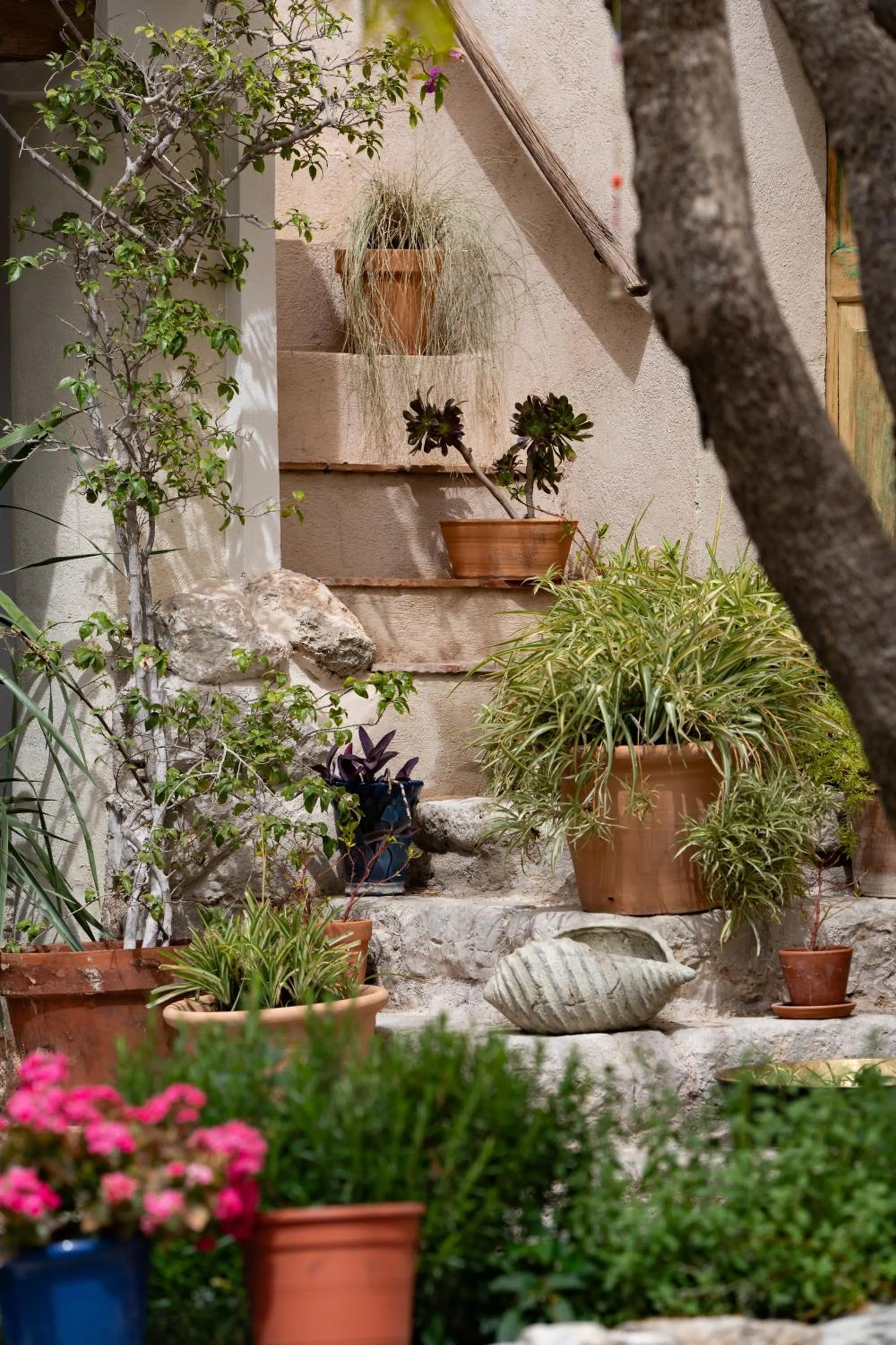 Spring in Agroturismo Son Boronat