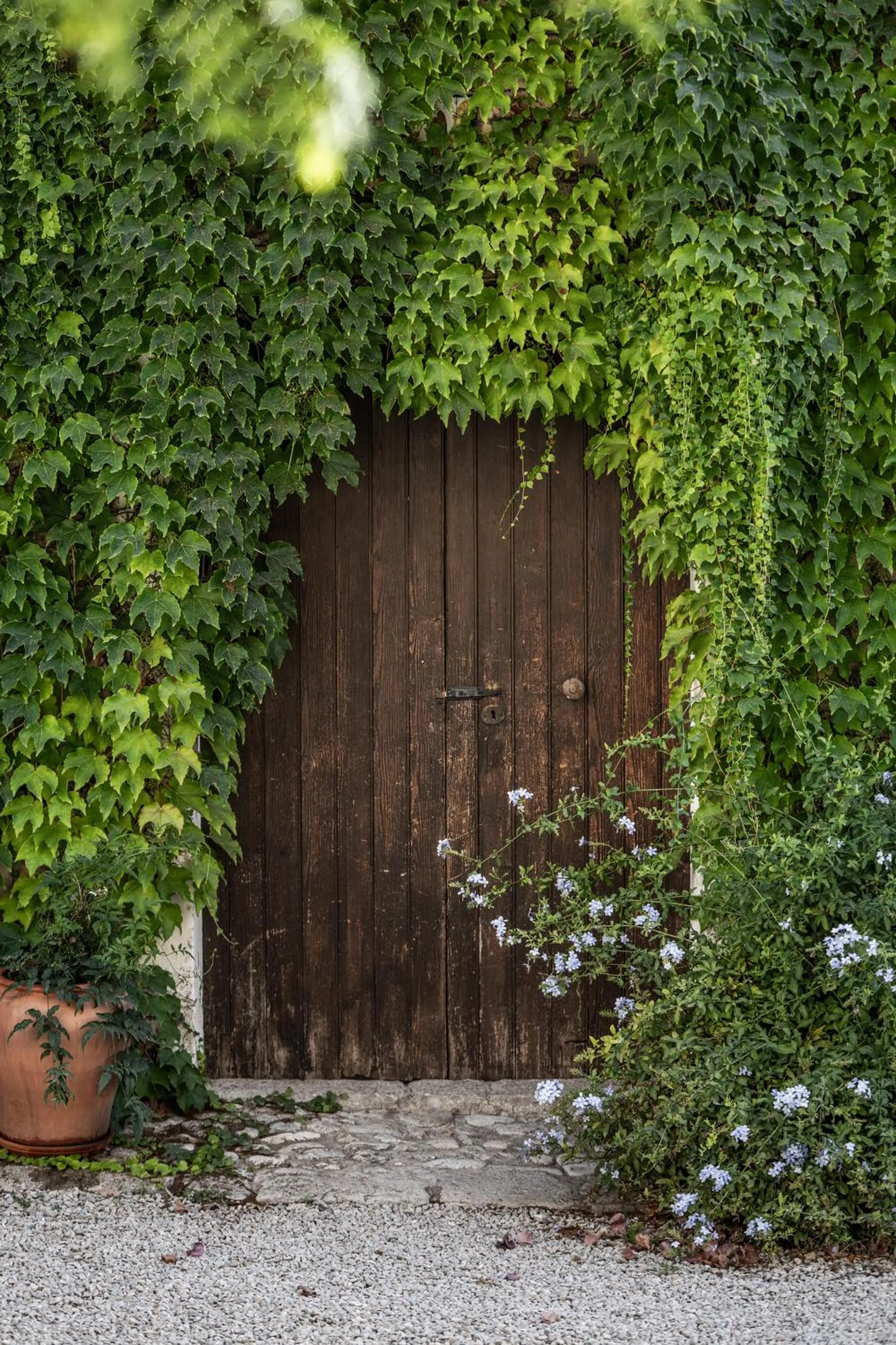 Spring in Agroturismo Son Boronat