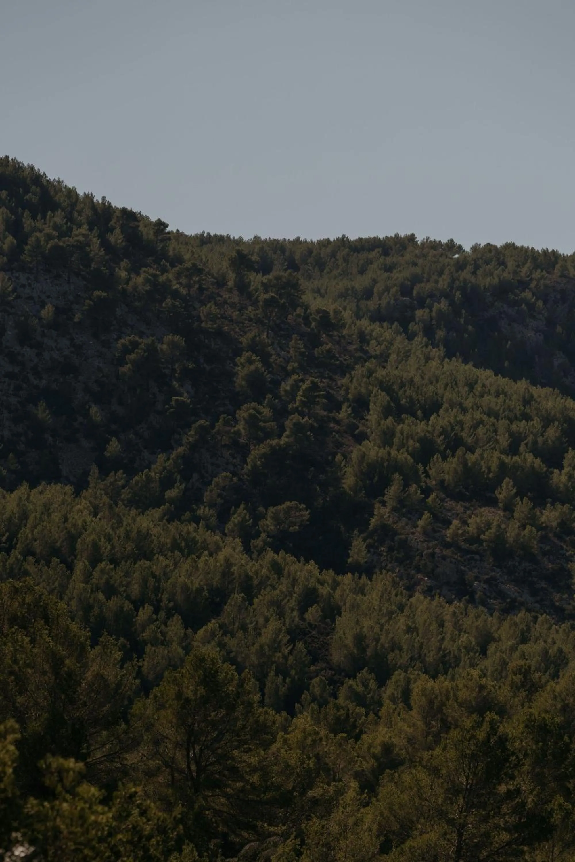 Day in Agroturismo Son Boronat