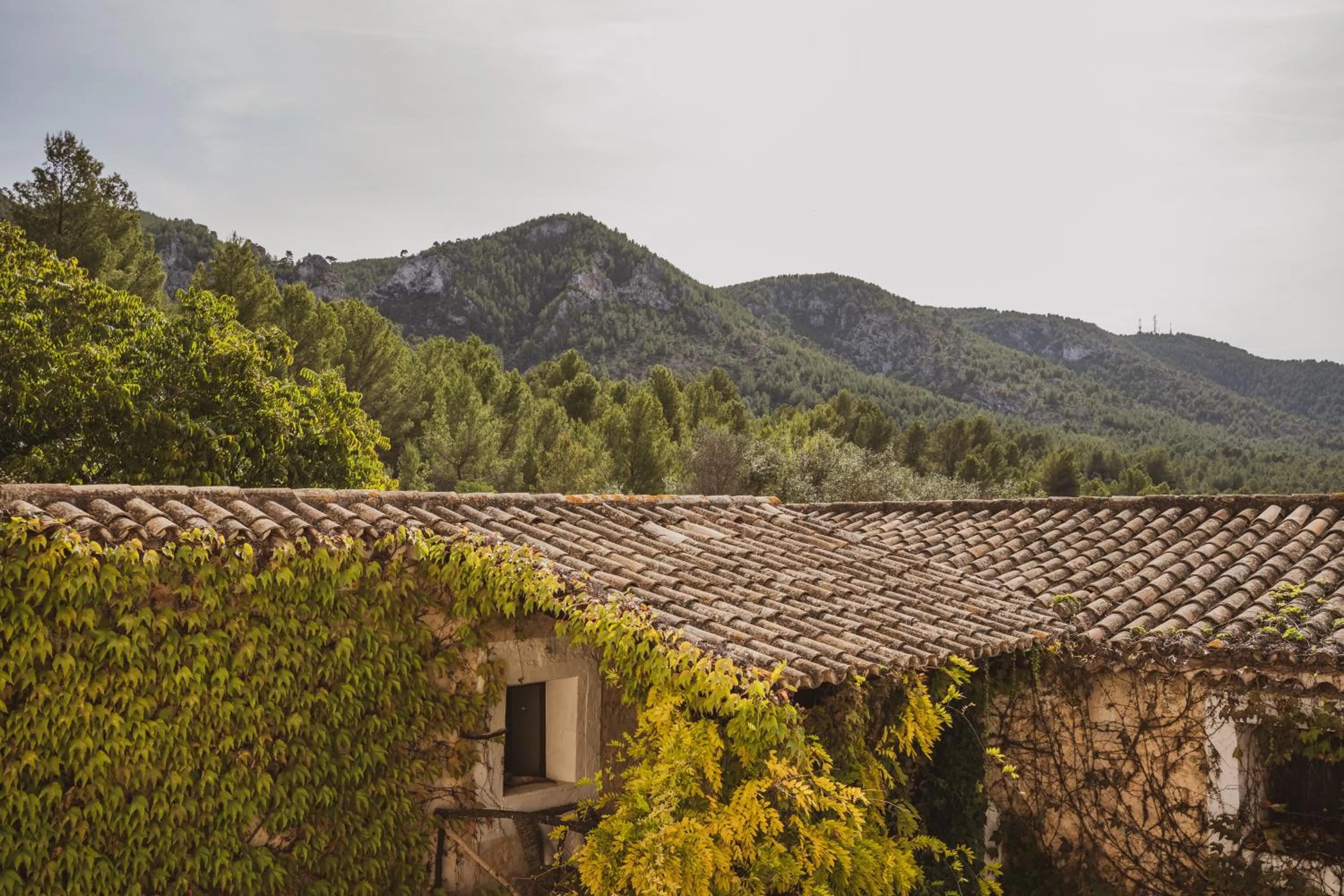 Nearby landmark in Agroturismo Son Boronat