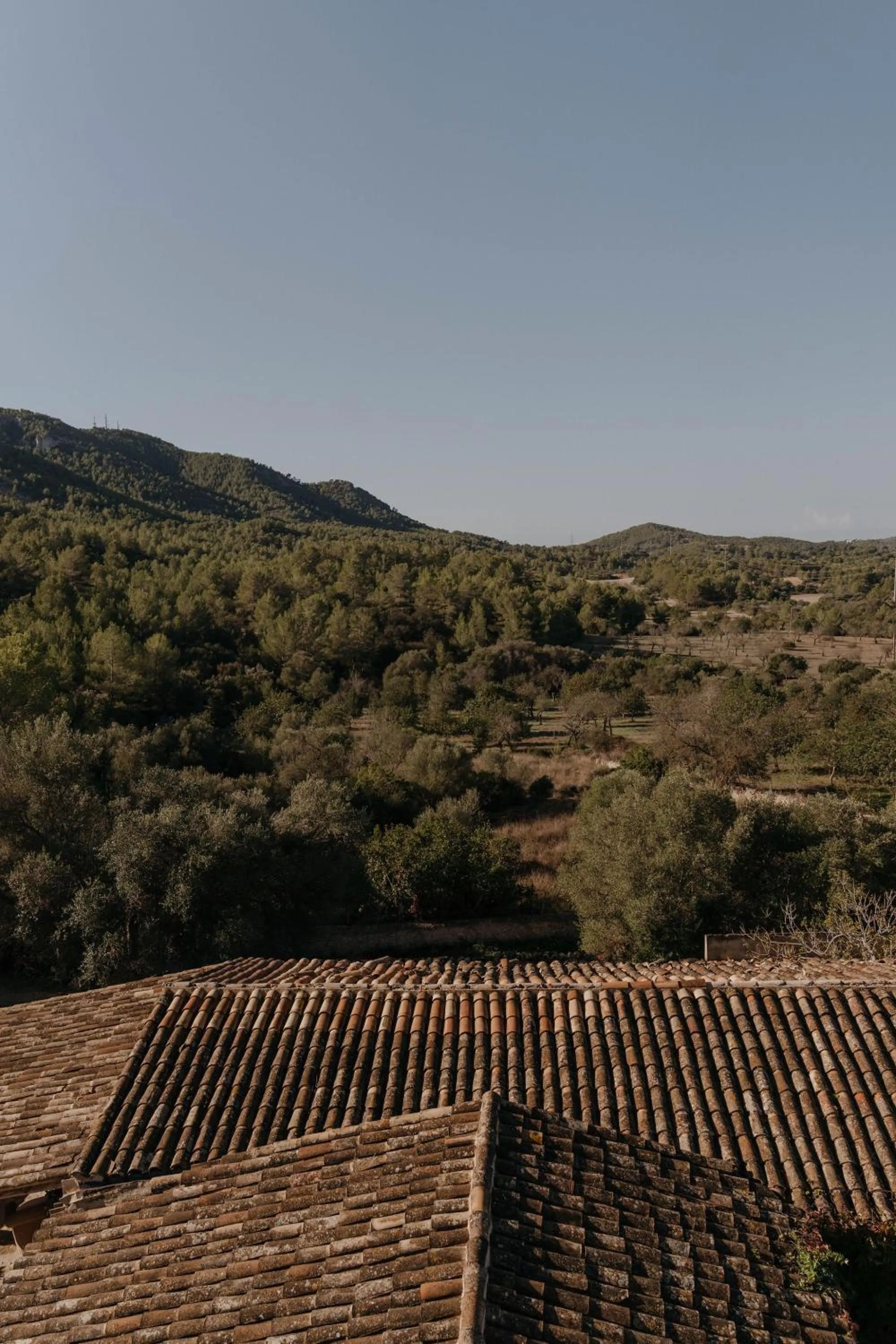 Nearby landmark in Agroturismo Son Boronat