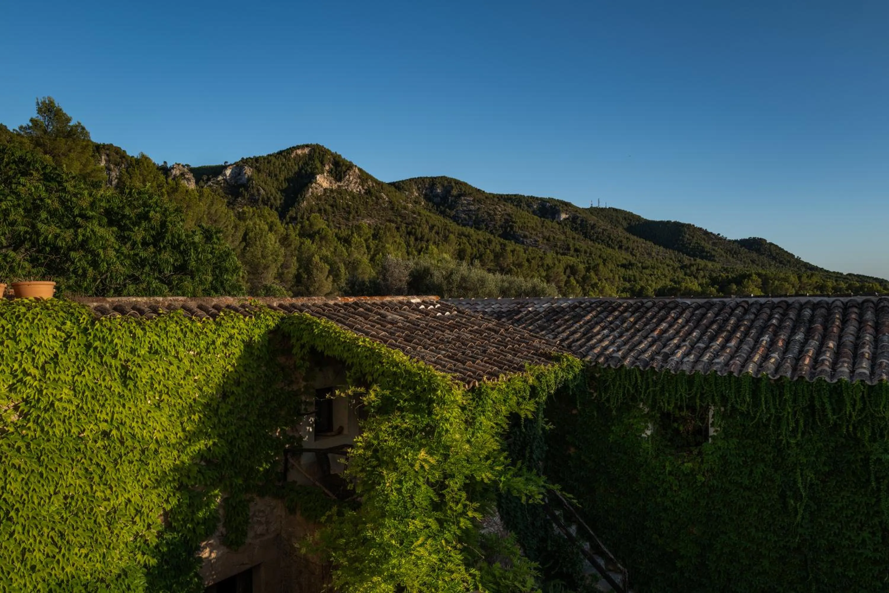 Agroturismo Son Boronat