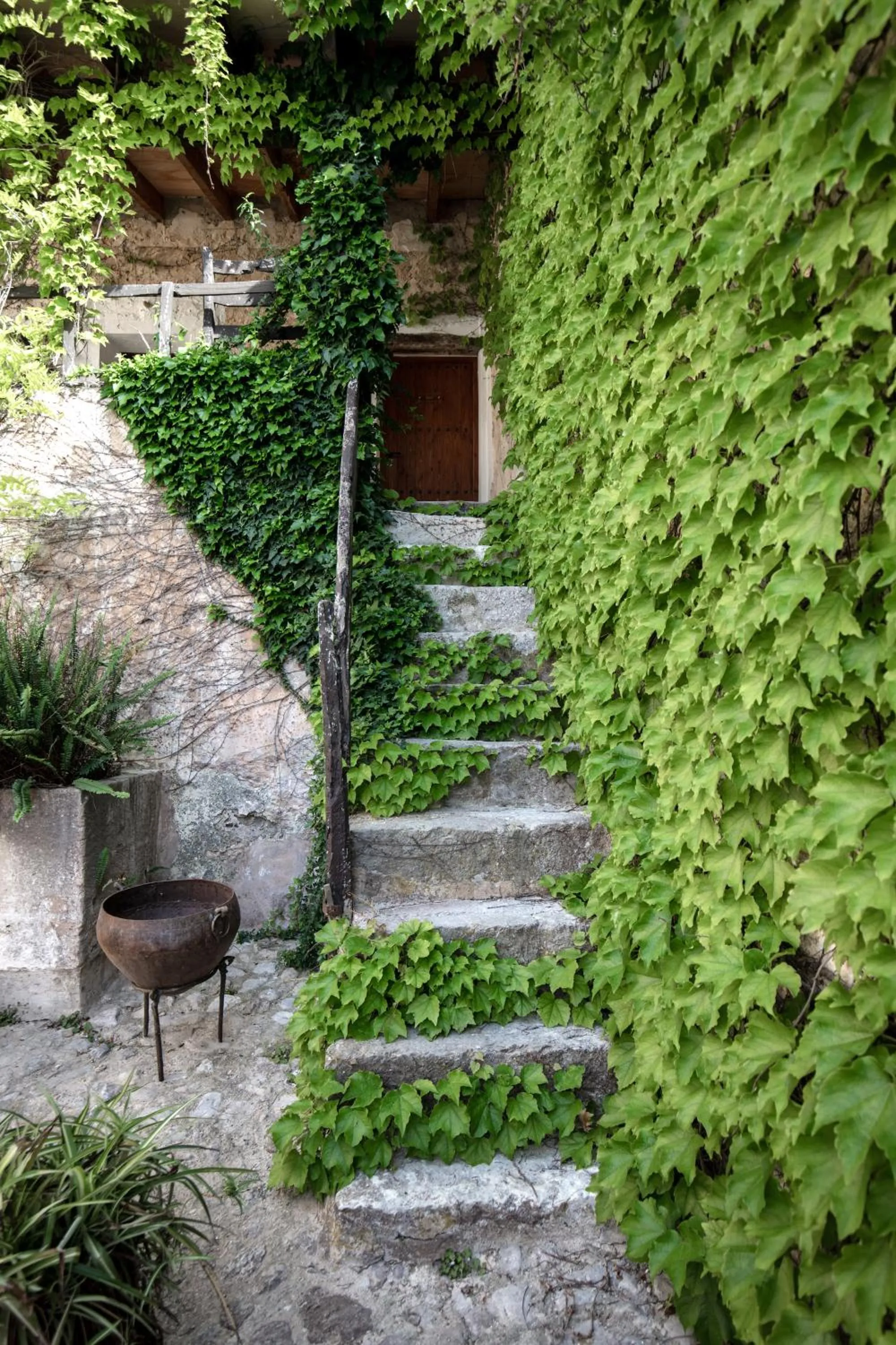 Garden view in Agroturismo Son Boronat