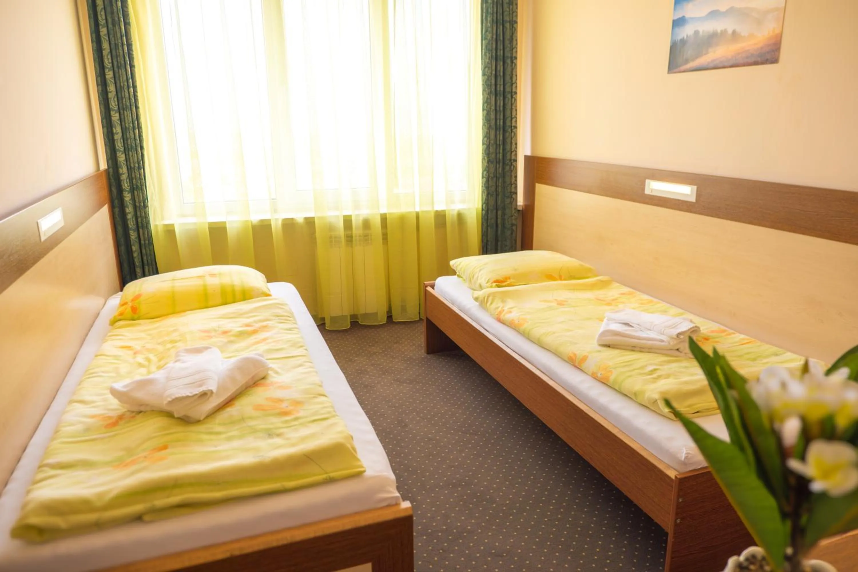 Bed in Hotel Gorna Banya