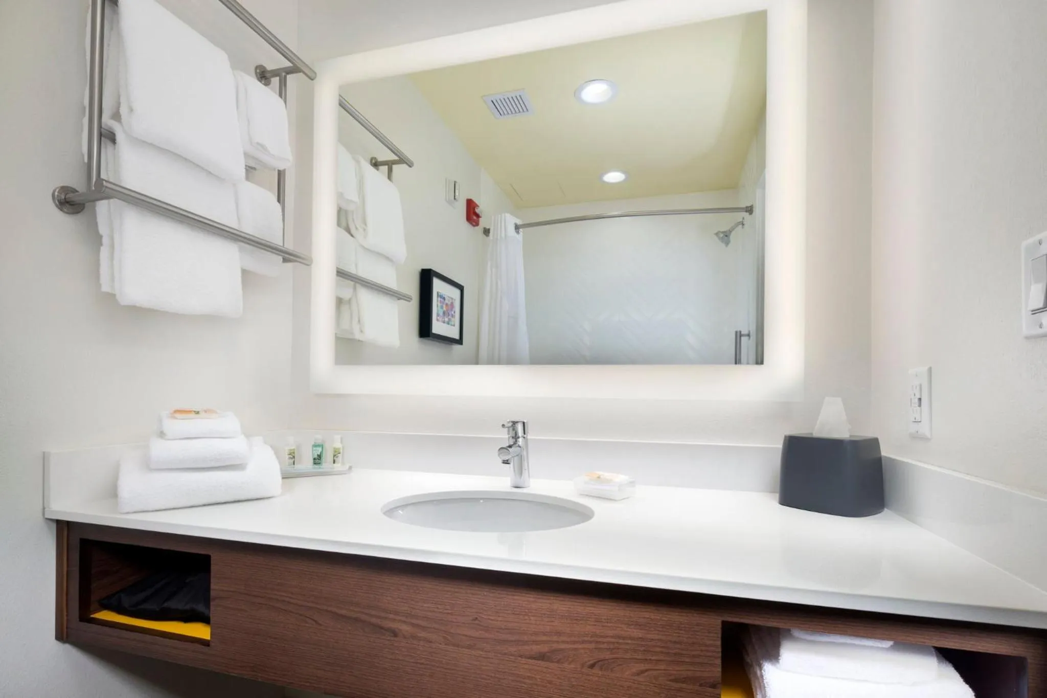 Bathroom in Holiday Inn & Suites Arden - Asheville Airport by IHG